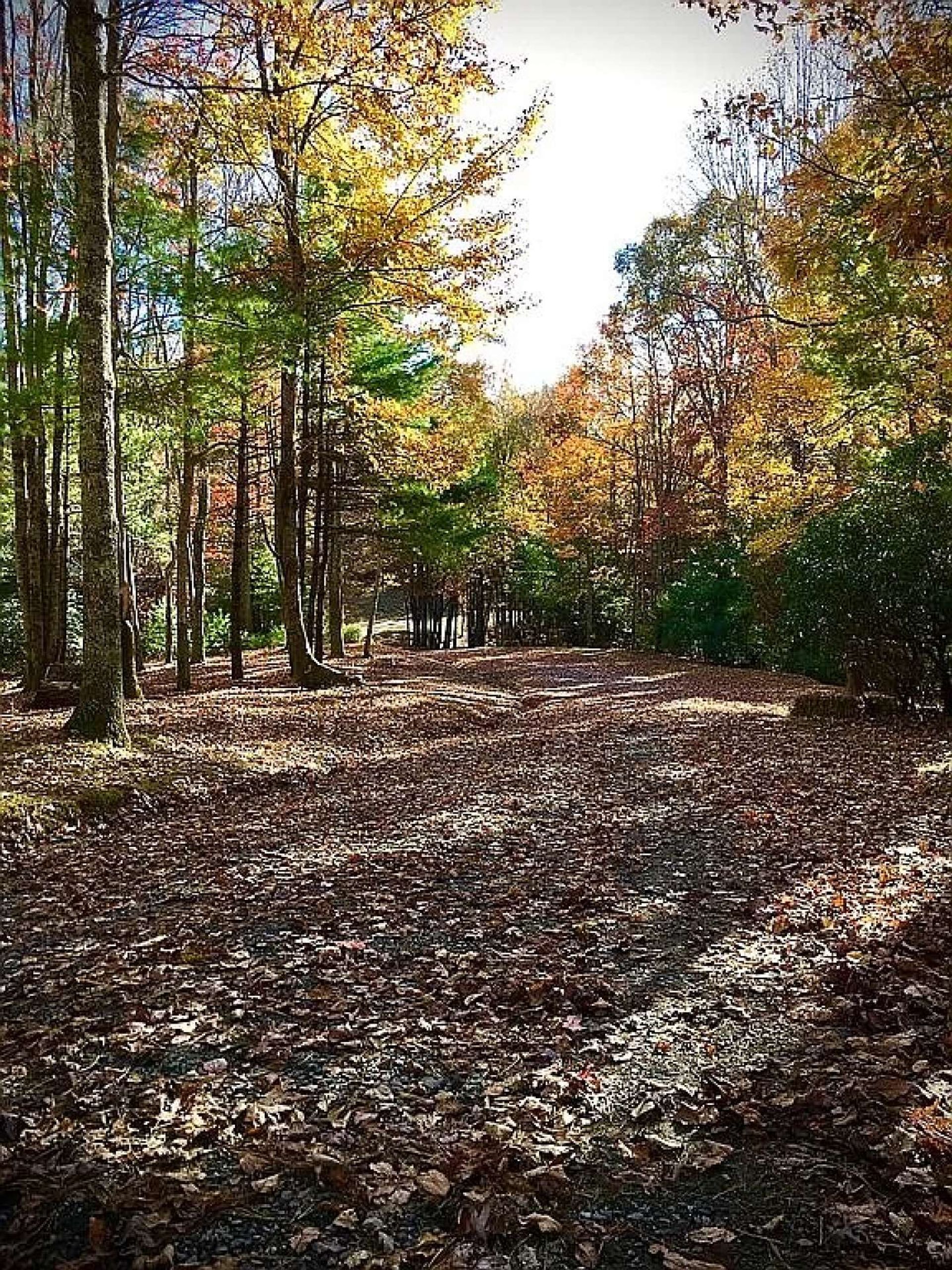 Osakehuoneisto sisään Idlewild, North Carolina 10820532