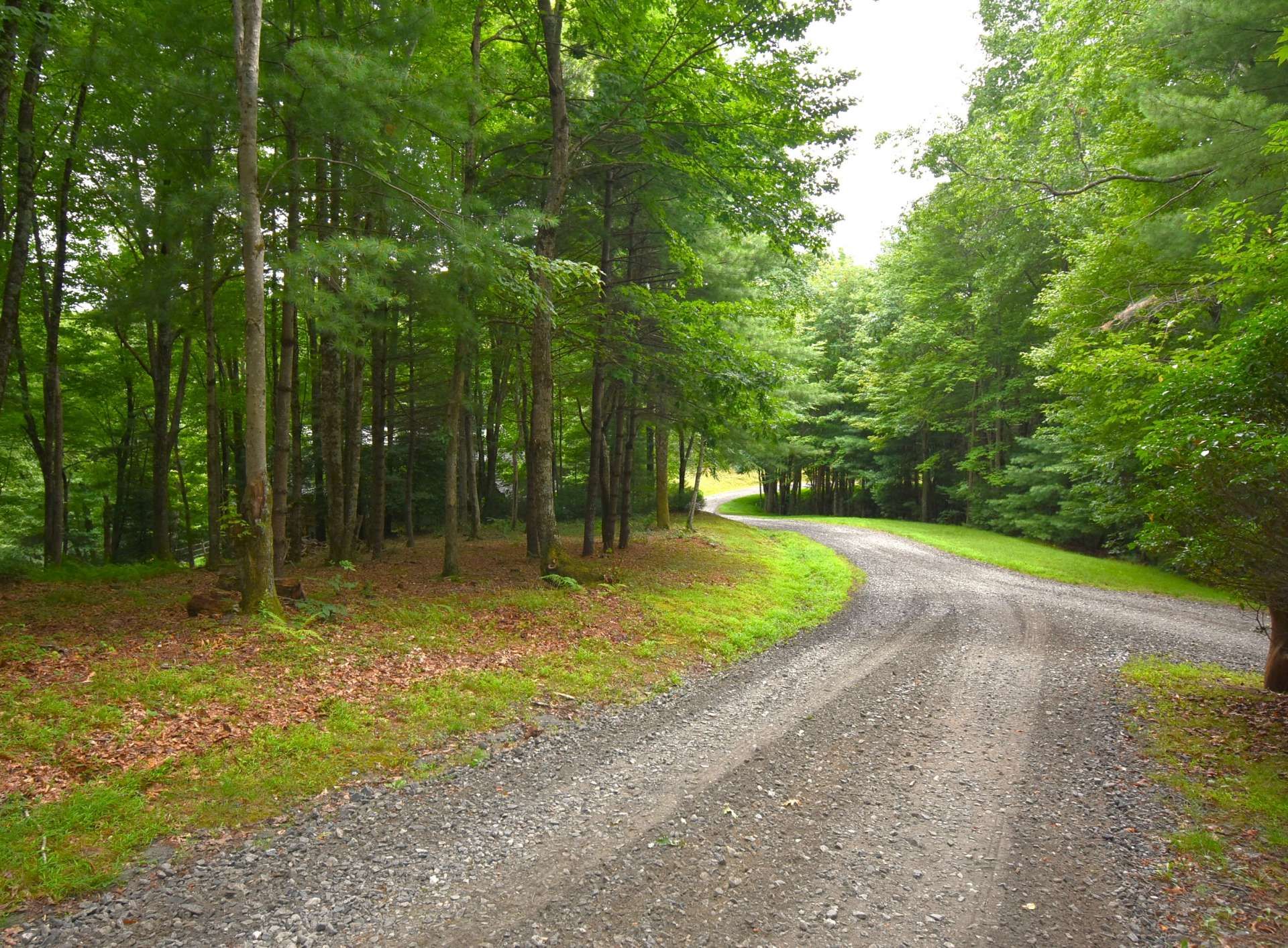 Συγκυριαρχία σε Idlewild, North Carolina 10820532