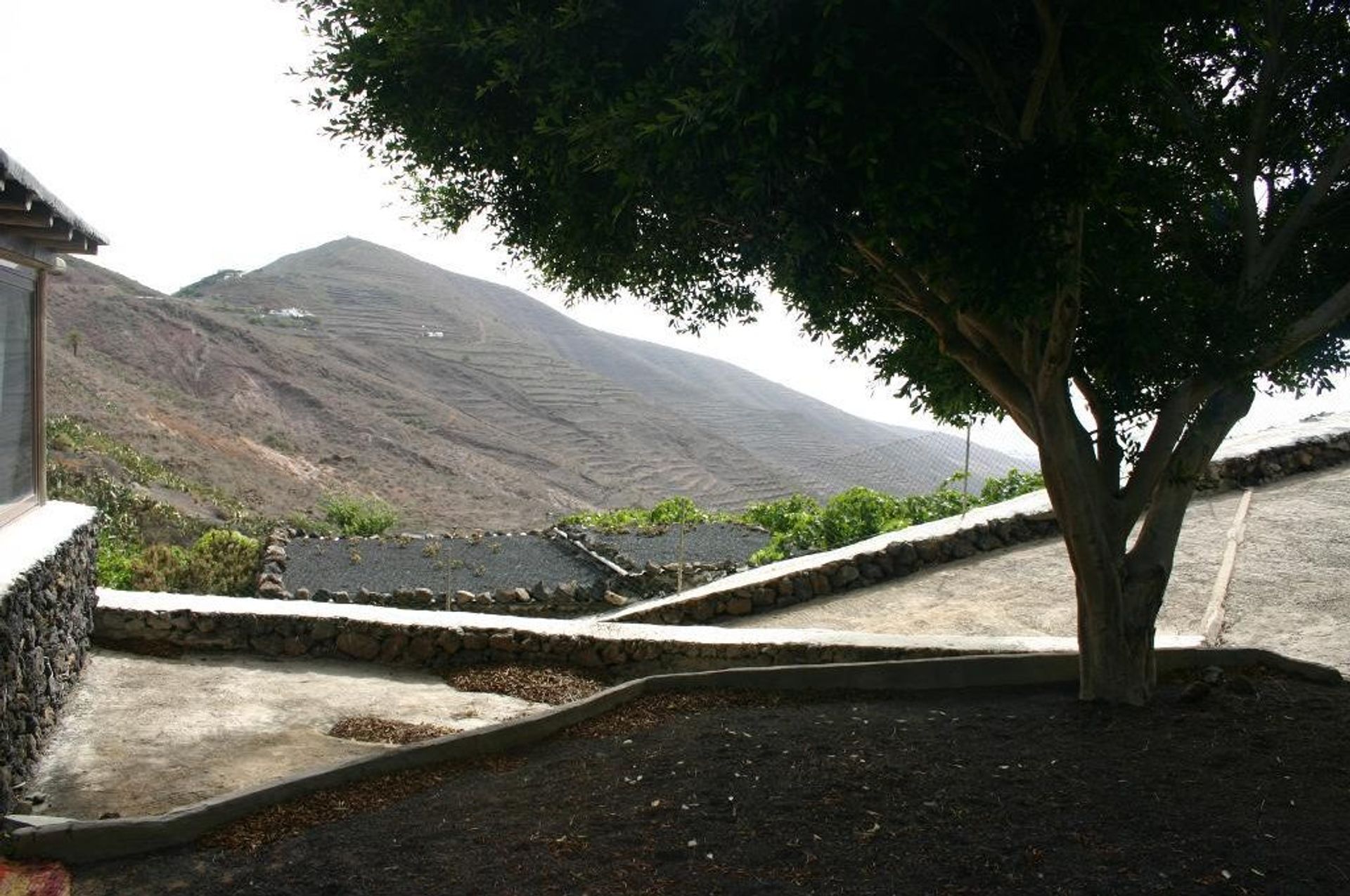 loger dans Téguise, les îles Canaries 10820572