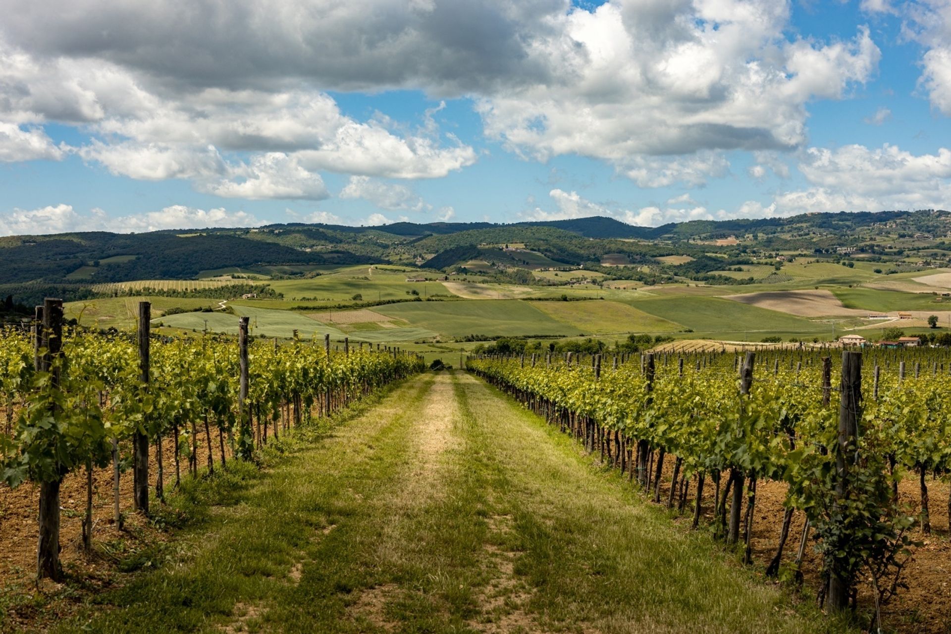 房子 在 Siena, Tuscany 10823452