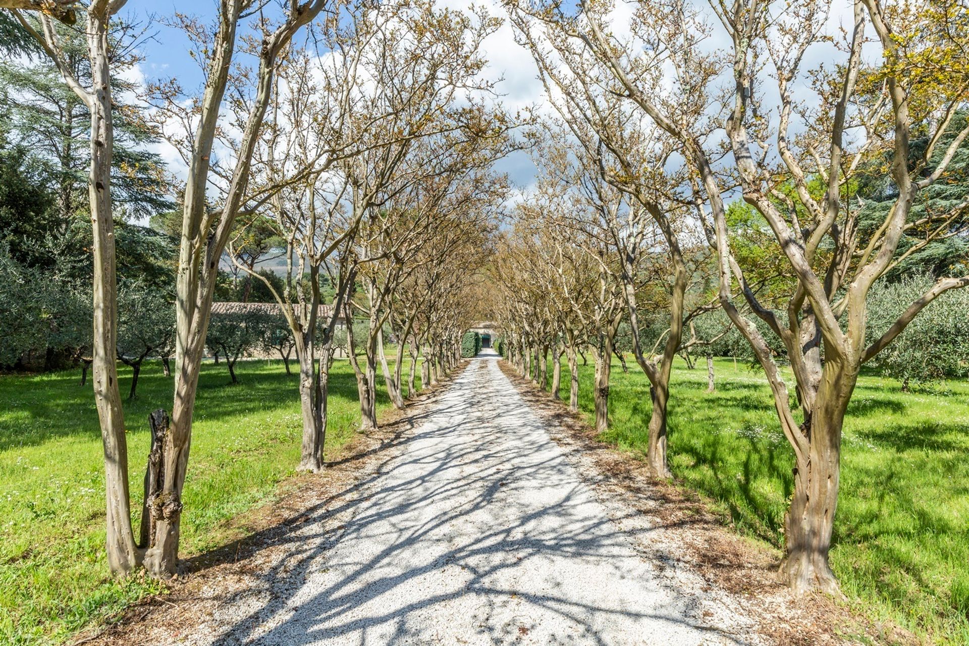 casa no Arezzo, Tuscany 10823577