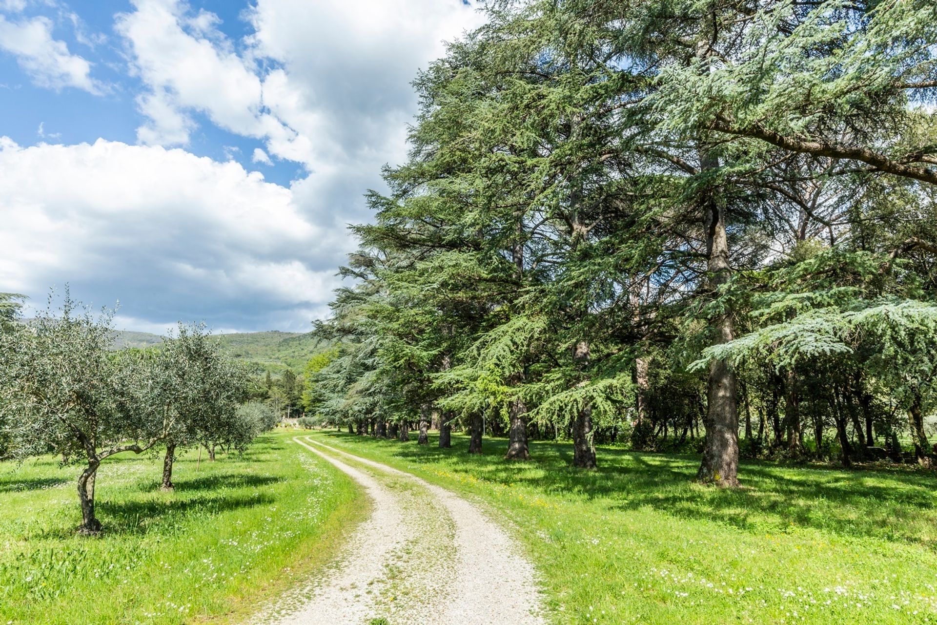 casa no Arezzo, Tuscany 10823577