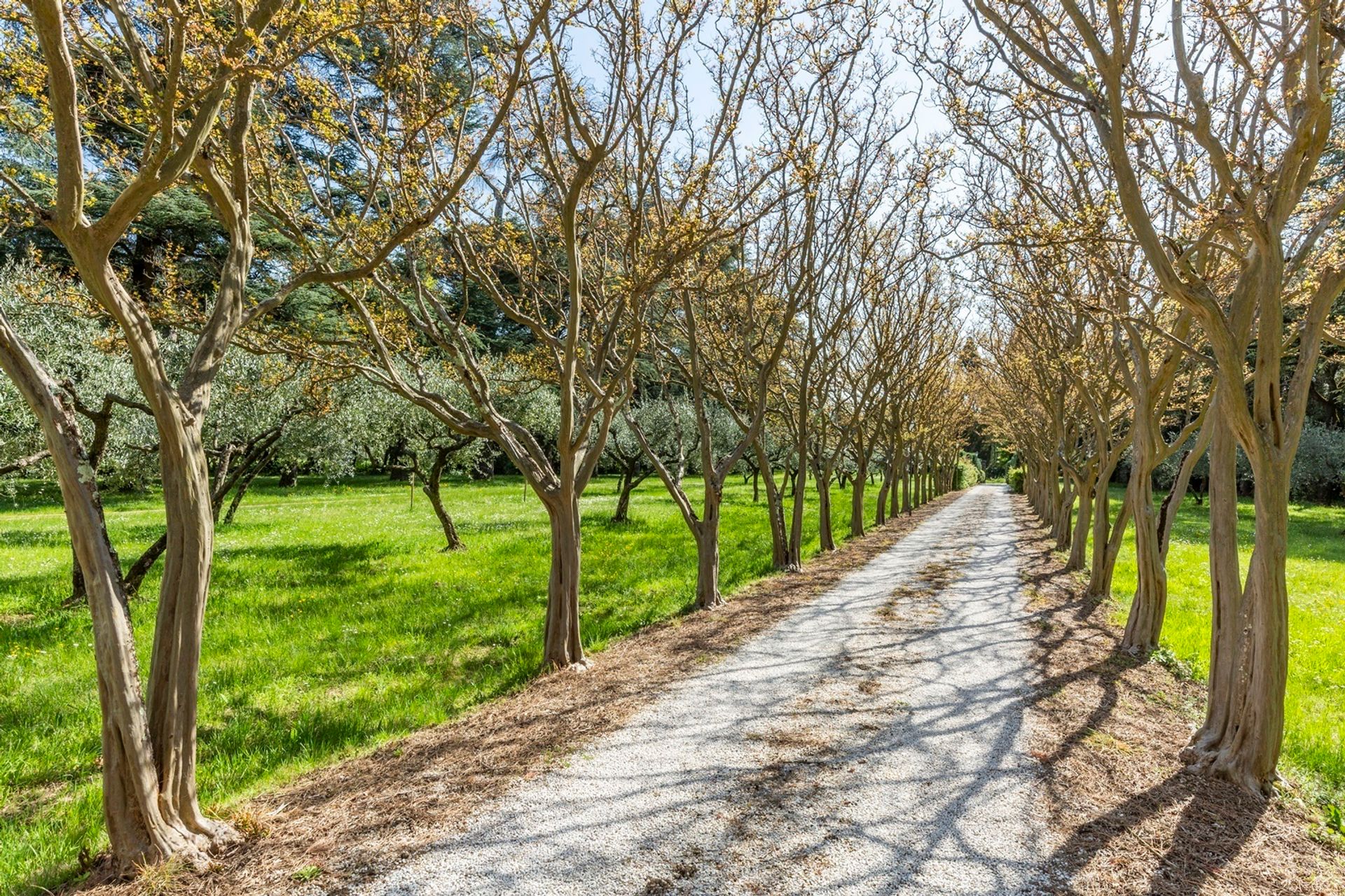 rumah dalam Arezzo, Tuscany 10823577