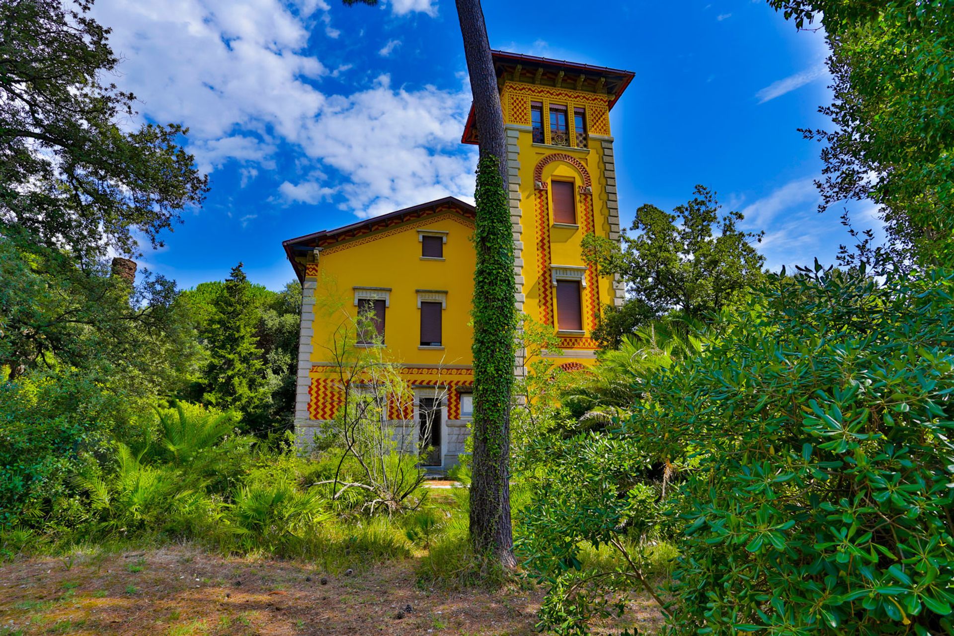 House in , Tuscany 10823822