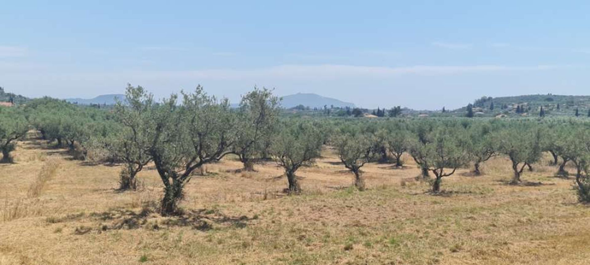 Земля в Zakinthos,  10825419