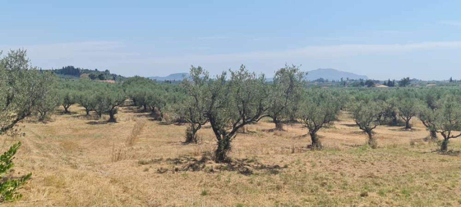 Земля в Zakinthos,  10825419