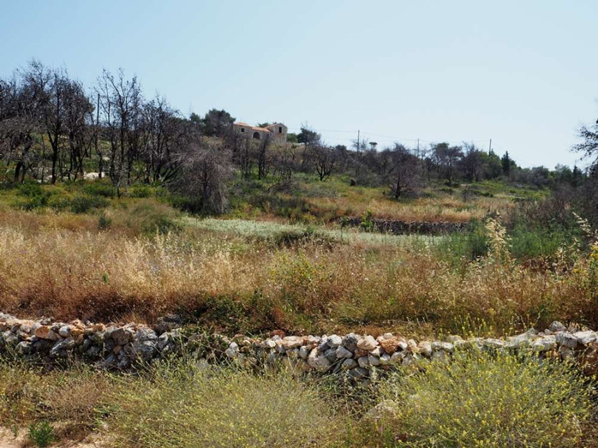 Tierra en bochalí, Jonia Nisia 10825436