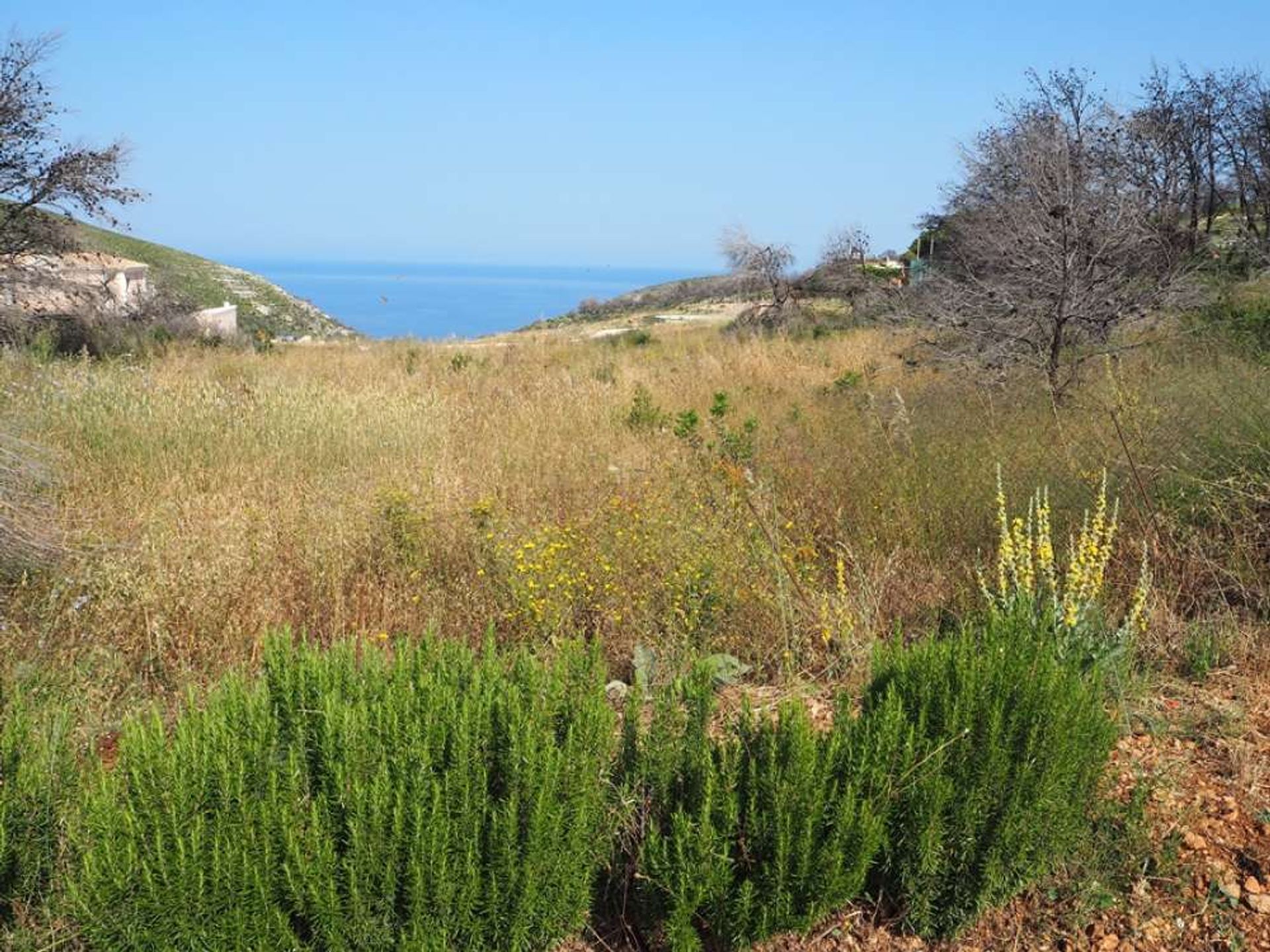 Tierra en bochalí, Jonia Nisia 10825436