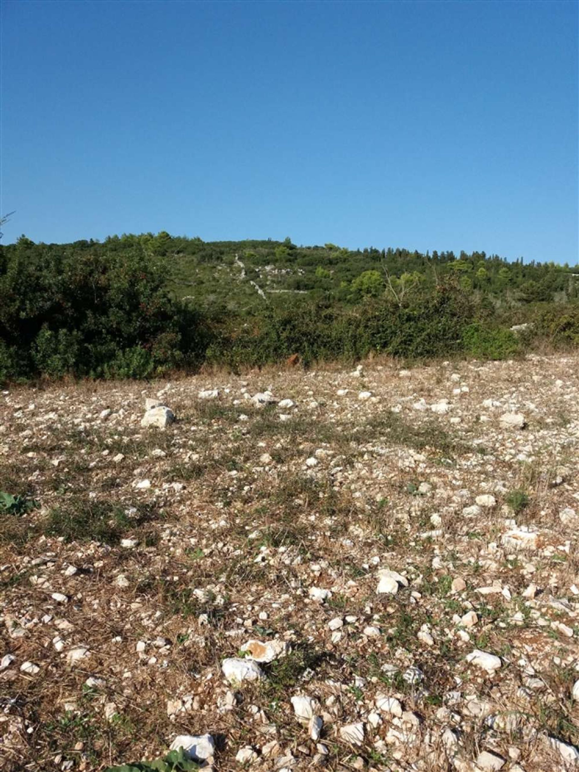 Terra no Bochali, Ionia Nísia 10825446