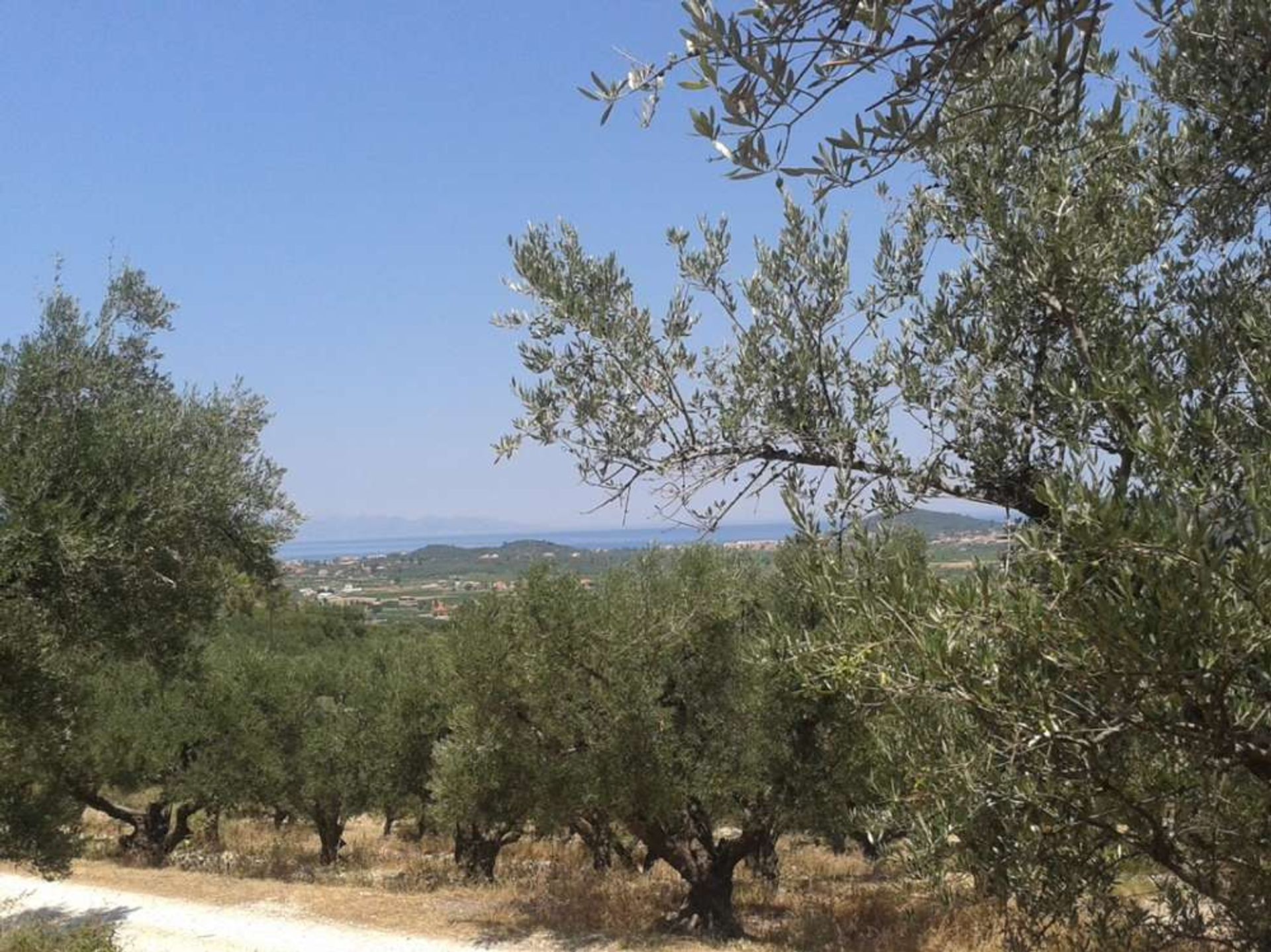 Land in Zakinthos,  10825458