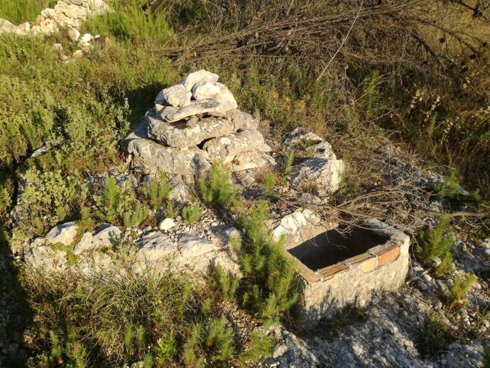 Tierra en bochalí, Jonia Nisia 10825475