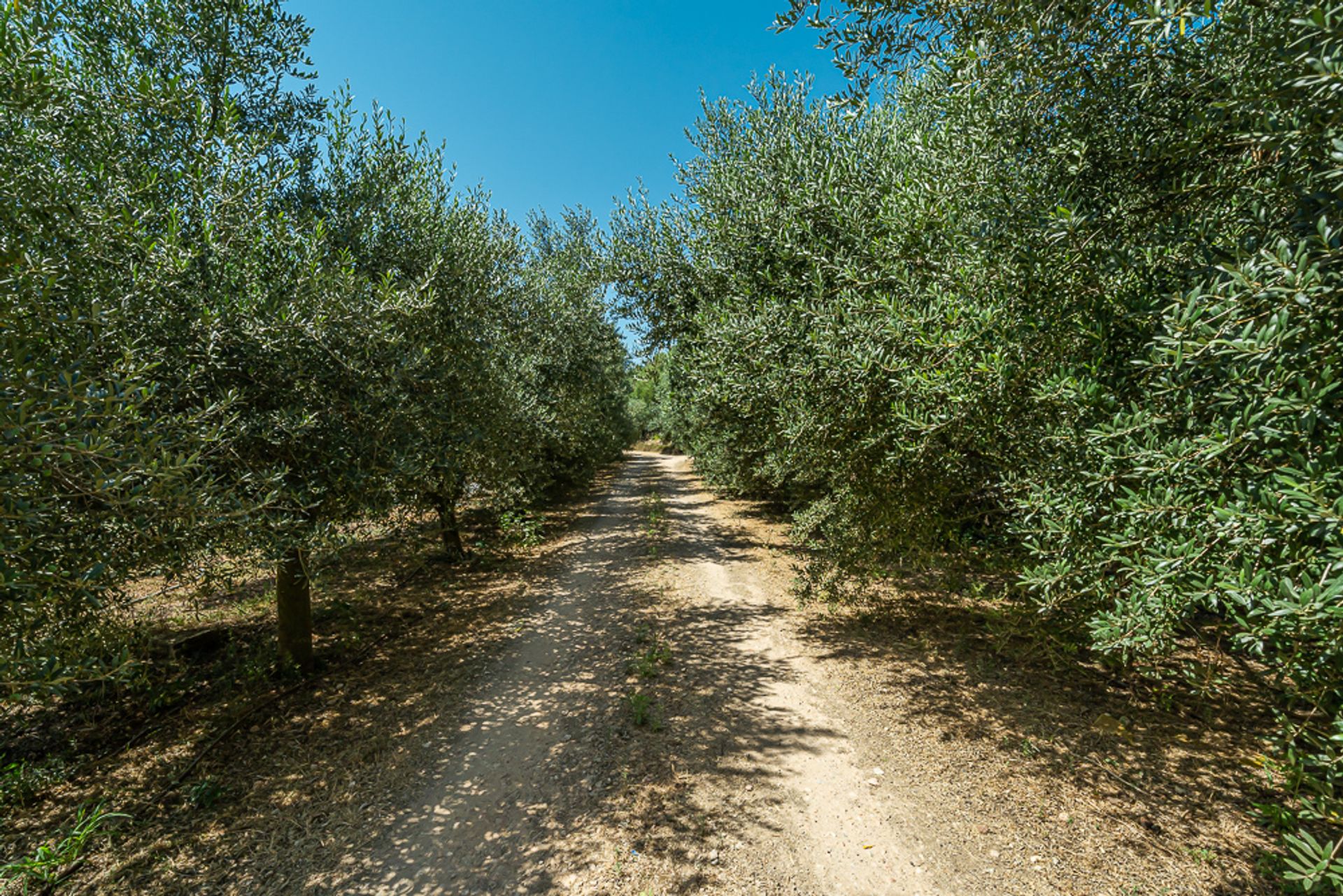 بيت في Algaida, Balearic Islands 10825545