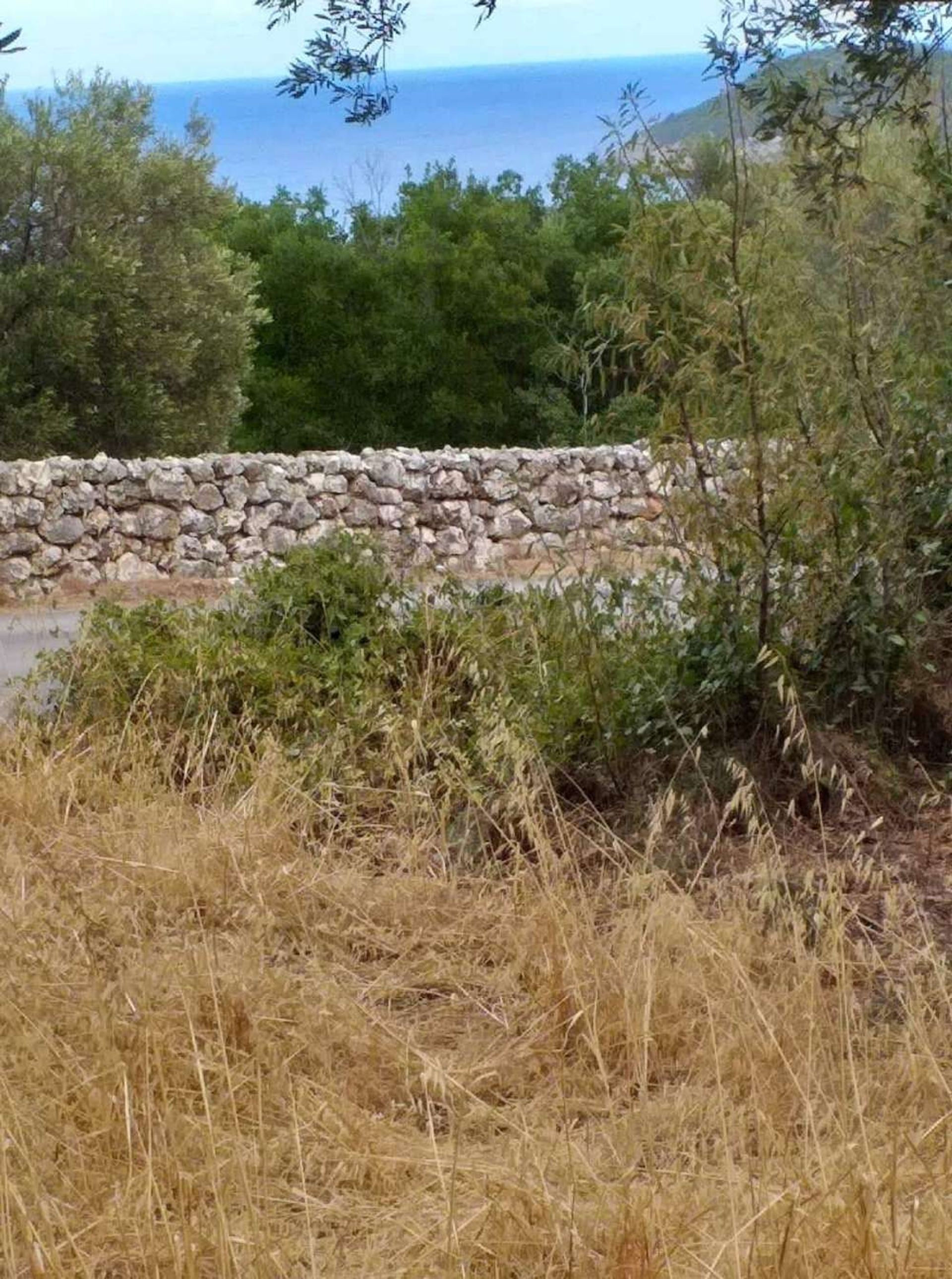 Tierra en bochalí, Jonia Nisia 10825578