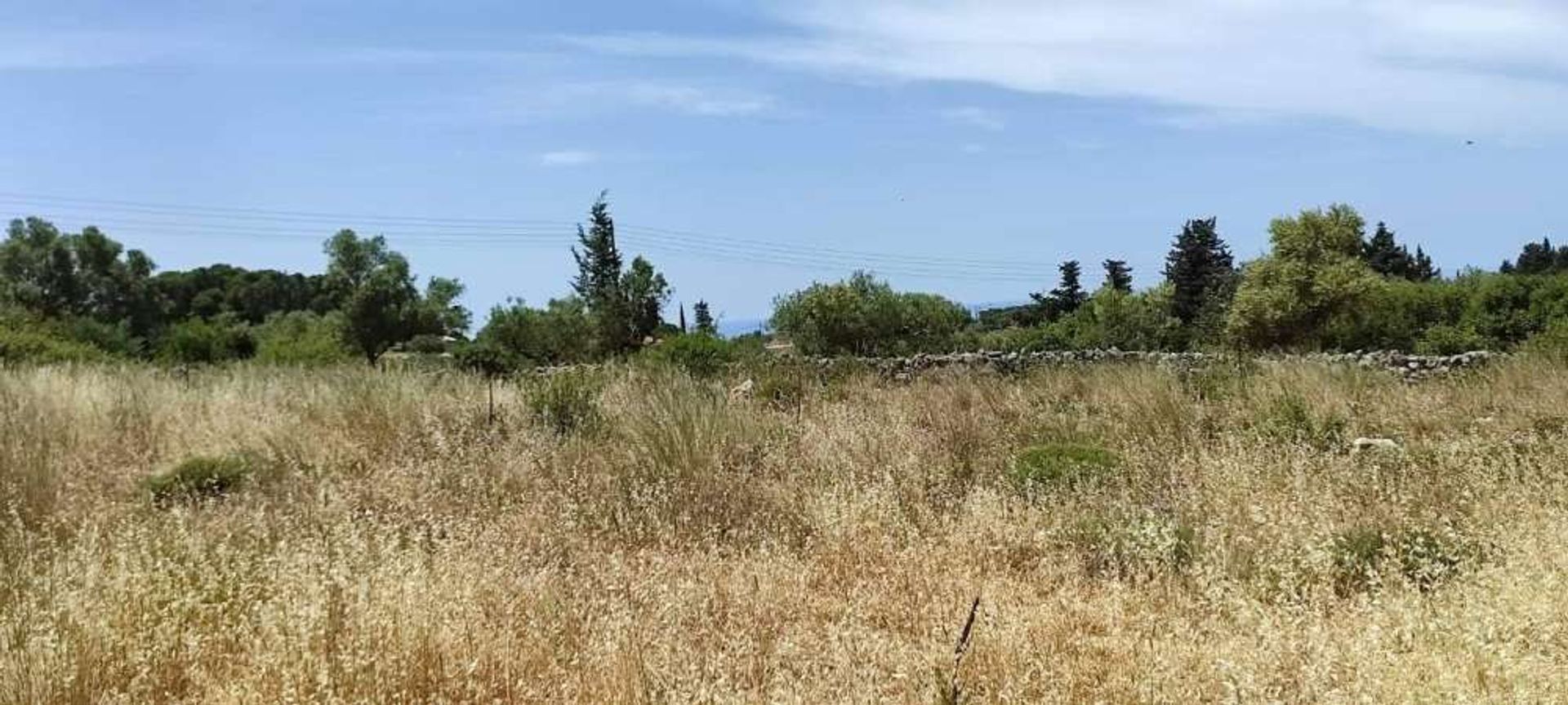 Land in Zakinthos,  10825583