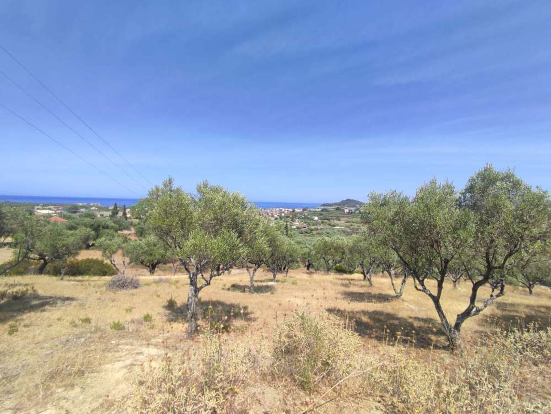 Land in Zakinthos,  10825614