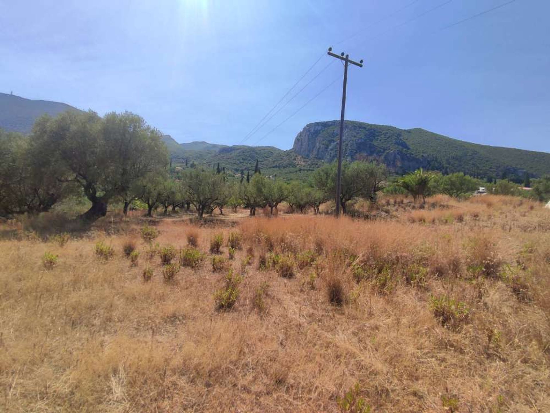 Land in Bochali, Ionië Nisia 10825614