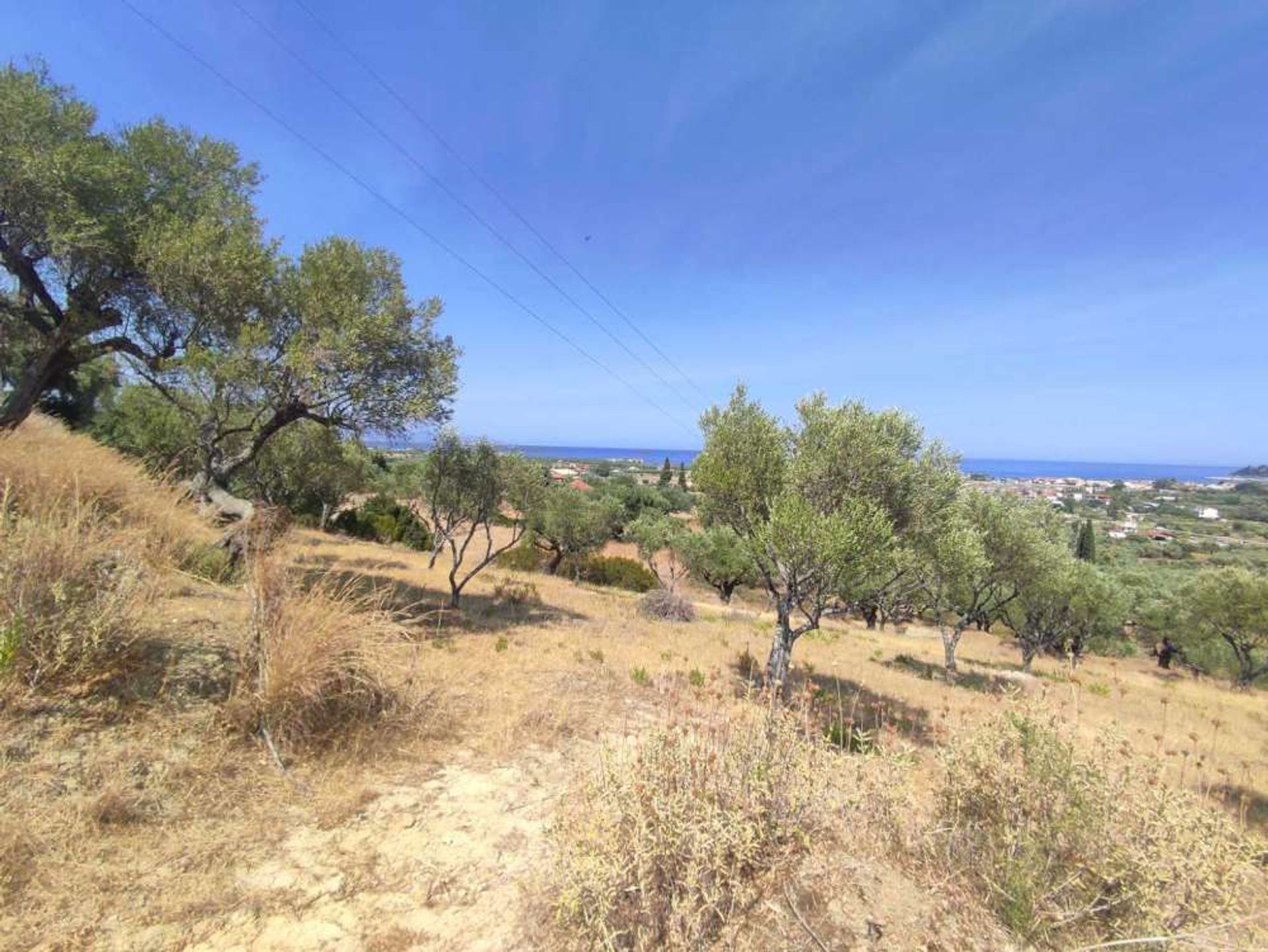 Land in Zakinthos,  10825614