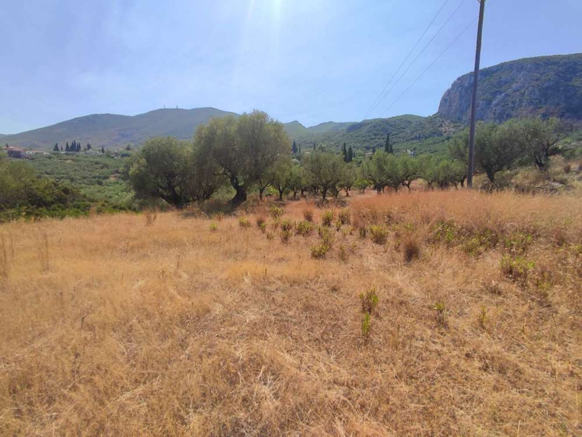 Land in Zakinthos,  10825614