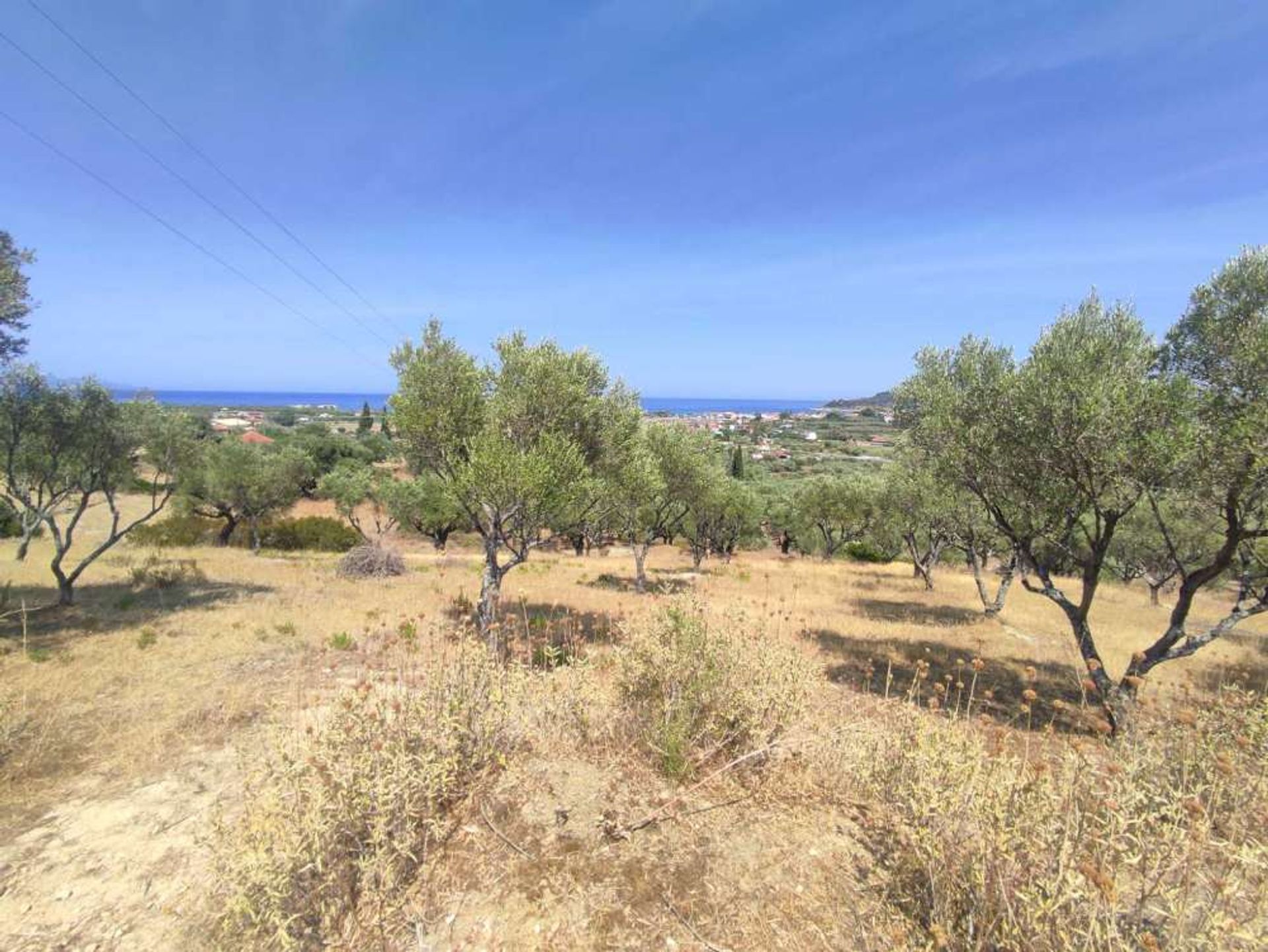 Land in Zakinthos,  10825614