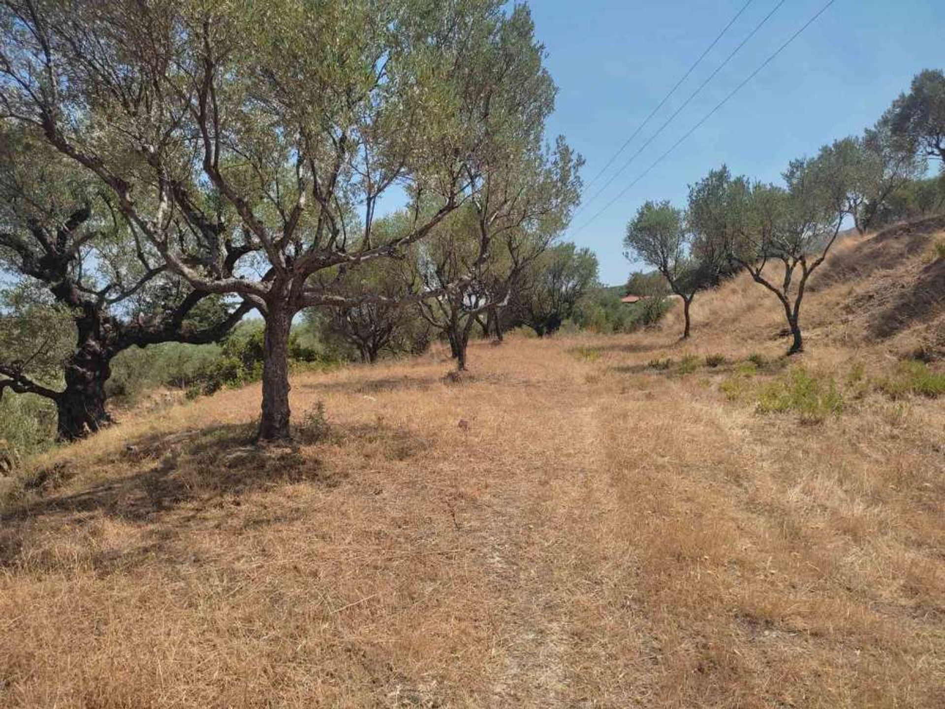 Land in Zakinthos,  10825614