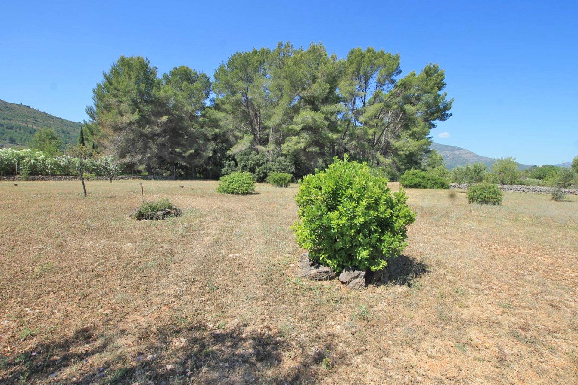 Hus i Xaló, Comunidad Valenciana 10826235