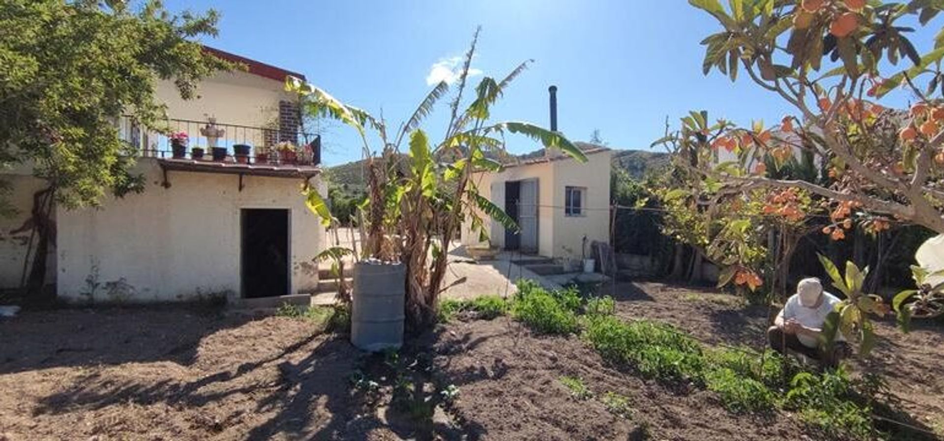 rumah dalam El Fondó de les Neus, Valencian Community 10826541