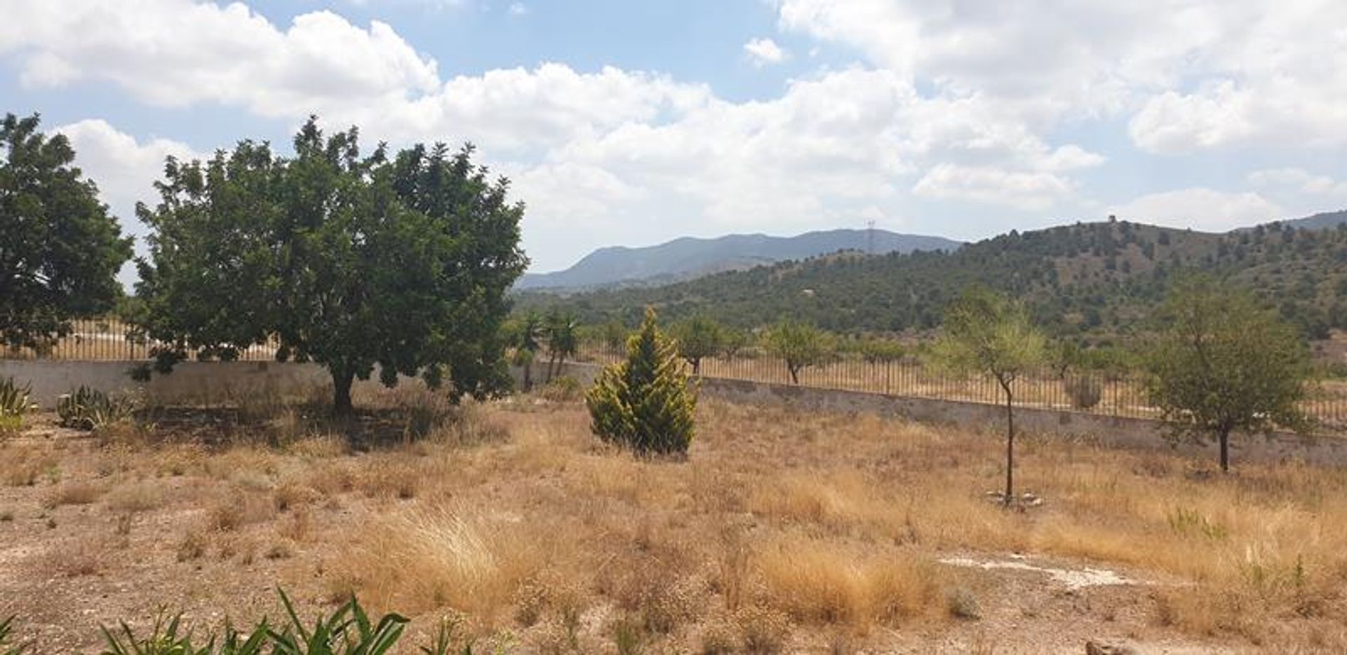 loger dans El Fondó de les Neus, Valencian Community 10826659