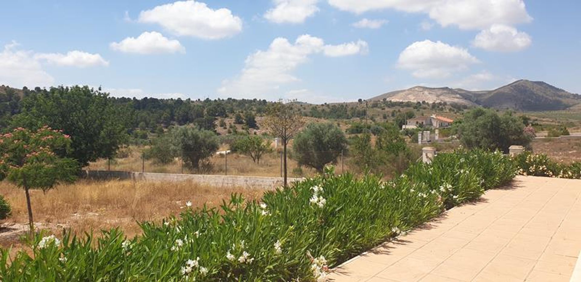 loger dans El Fondó de les Neus, Valencian Community 10826659