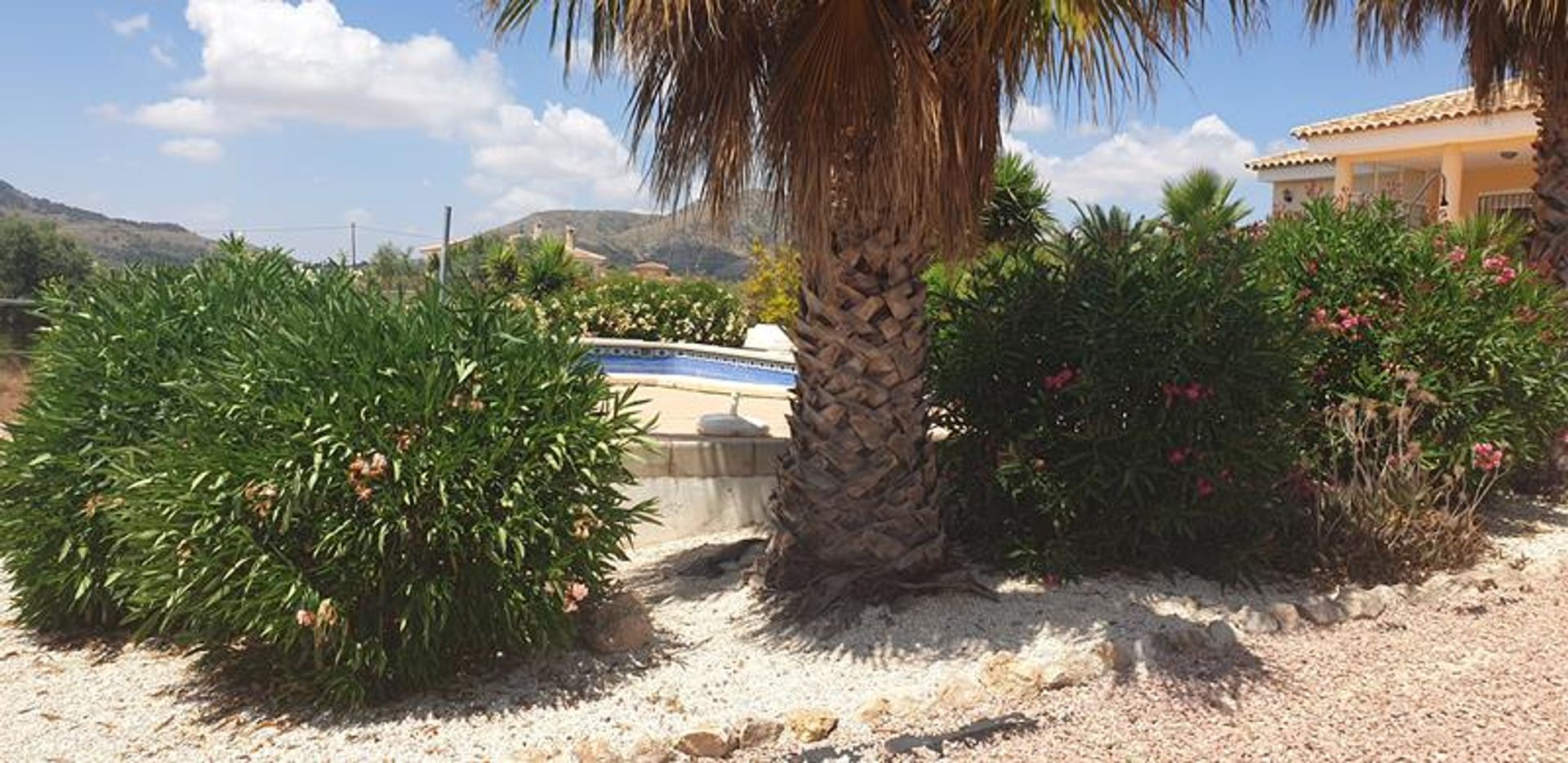 loger dans El Fondó de les Neus, Valencian Community 10826659