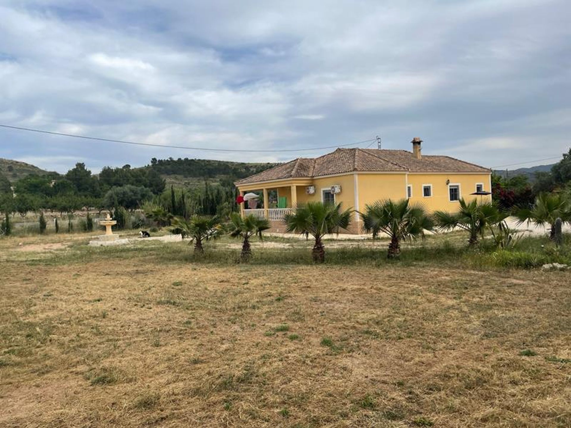 rumah dalam El Fondó de les Neus, Valencian Community 10826717