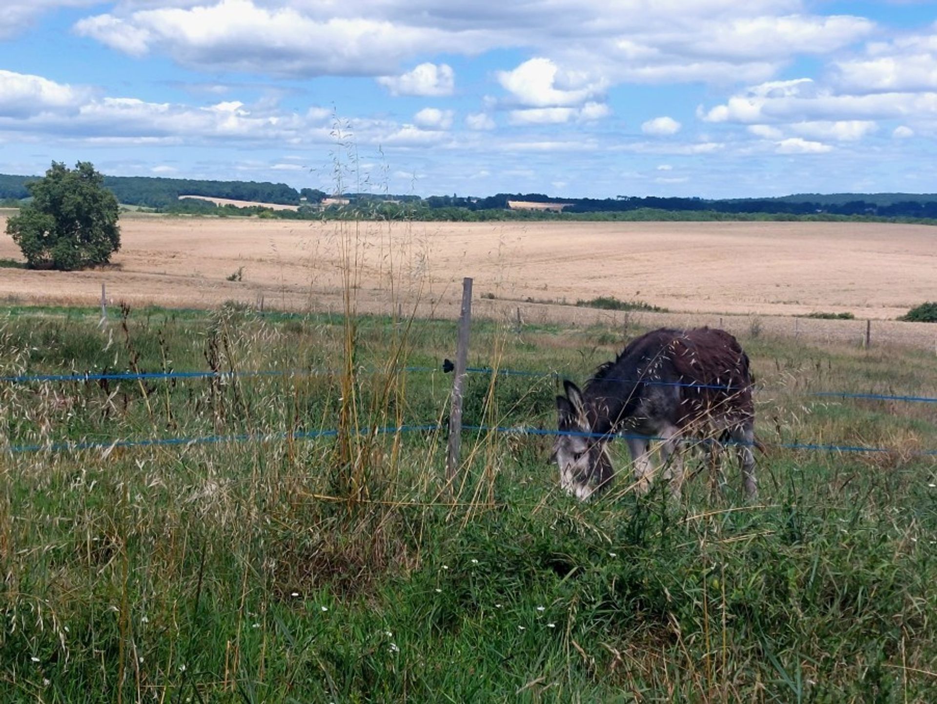 loger dans Fonroque, Nouvelle-Aquitaine 10827076