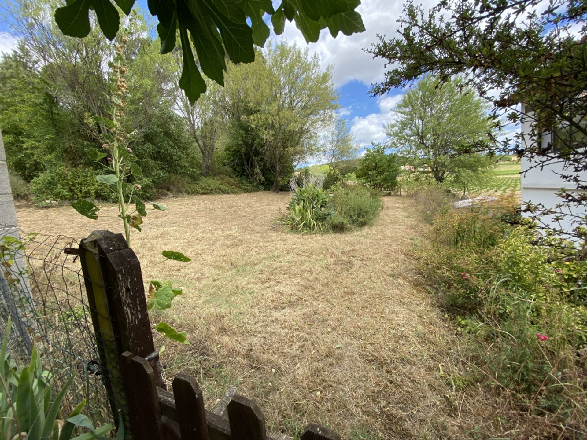 Hus i Pauligne, Occitanie 10827239