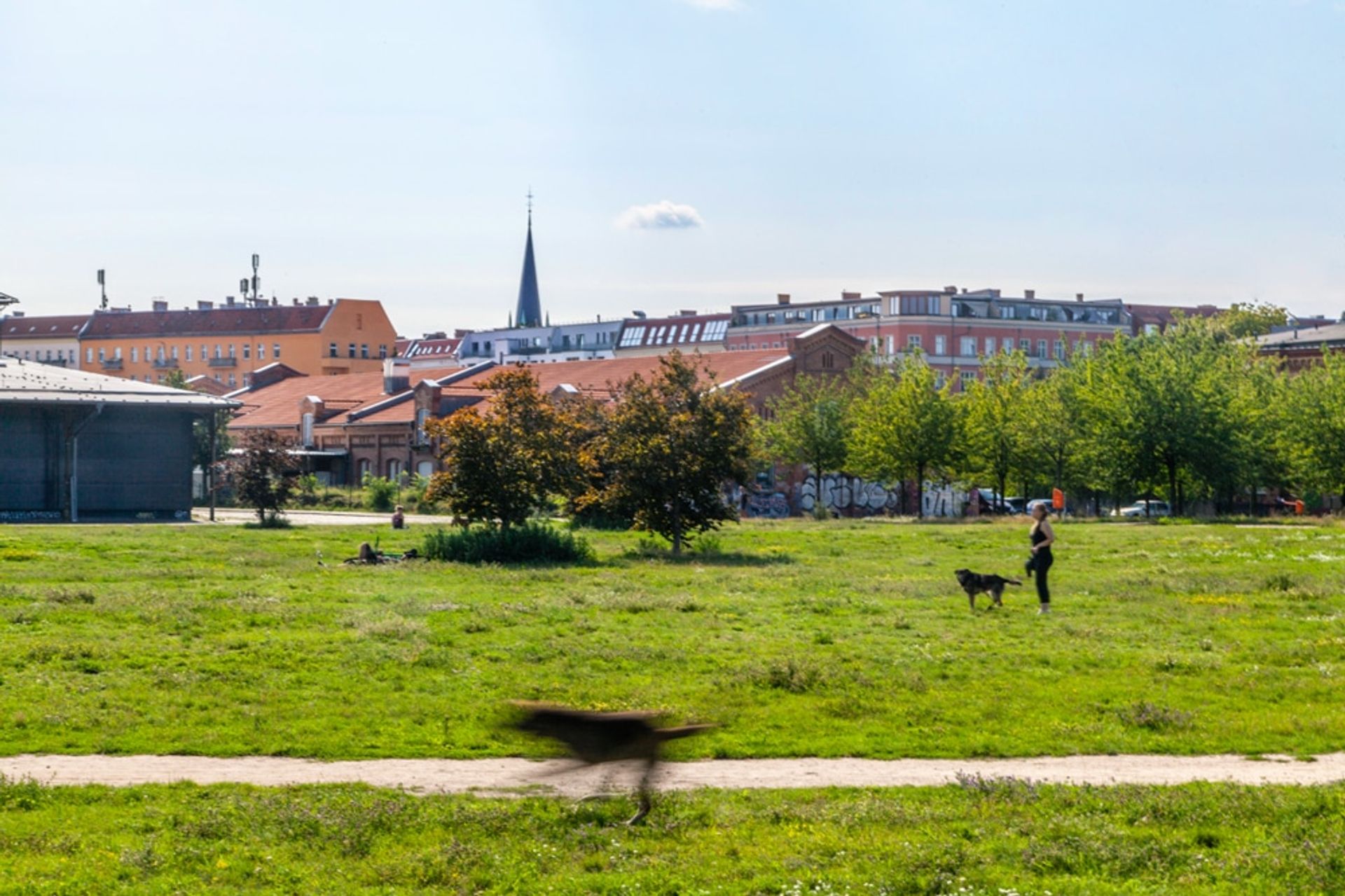 Borettslag i Berlin, Berlin 10827303