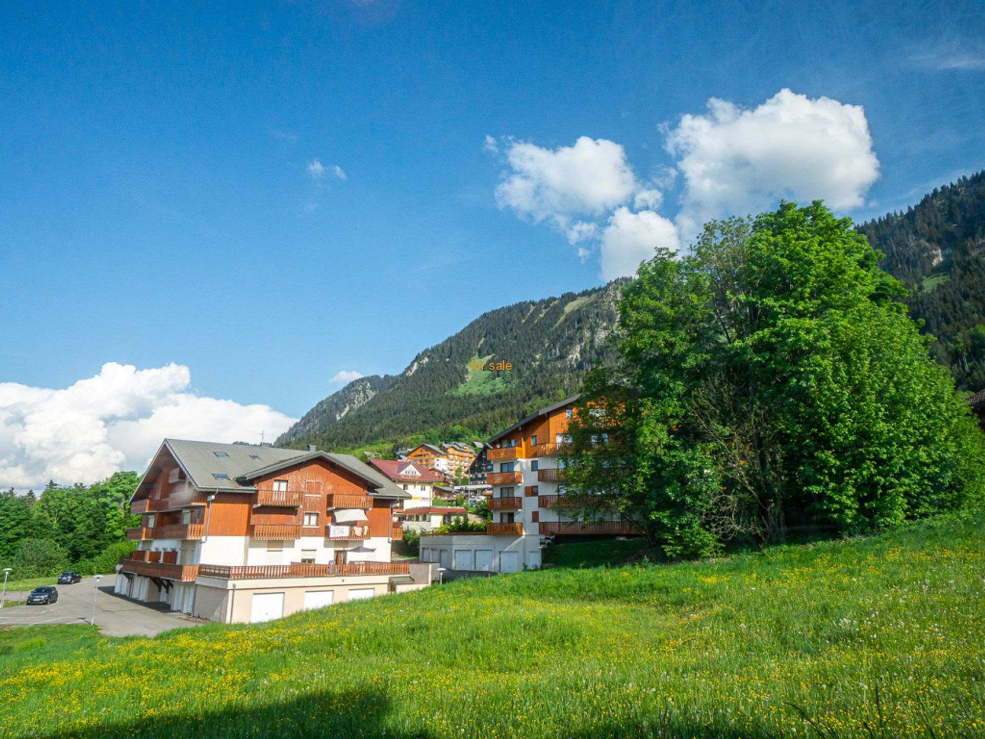 Ejerlejlighed i Thollon-les-Memises, Auvergne-Rhône-Alpes 10827482