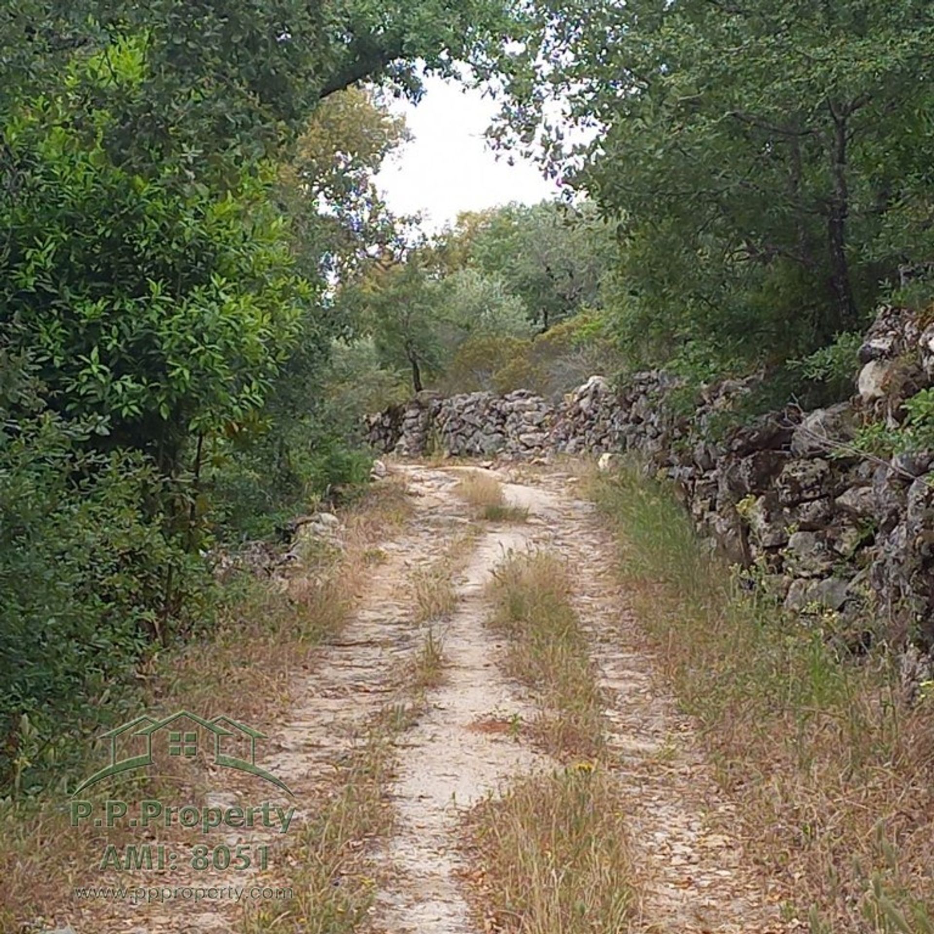 House in Alvaiazere, Leiria 10827672