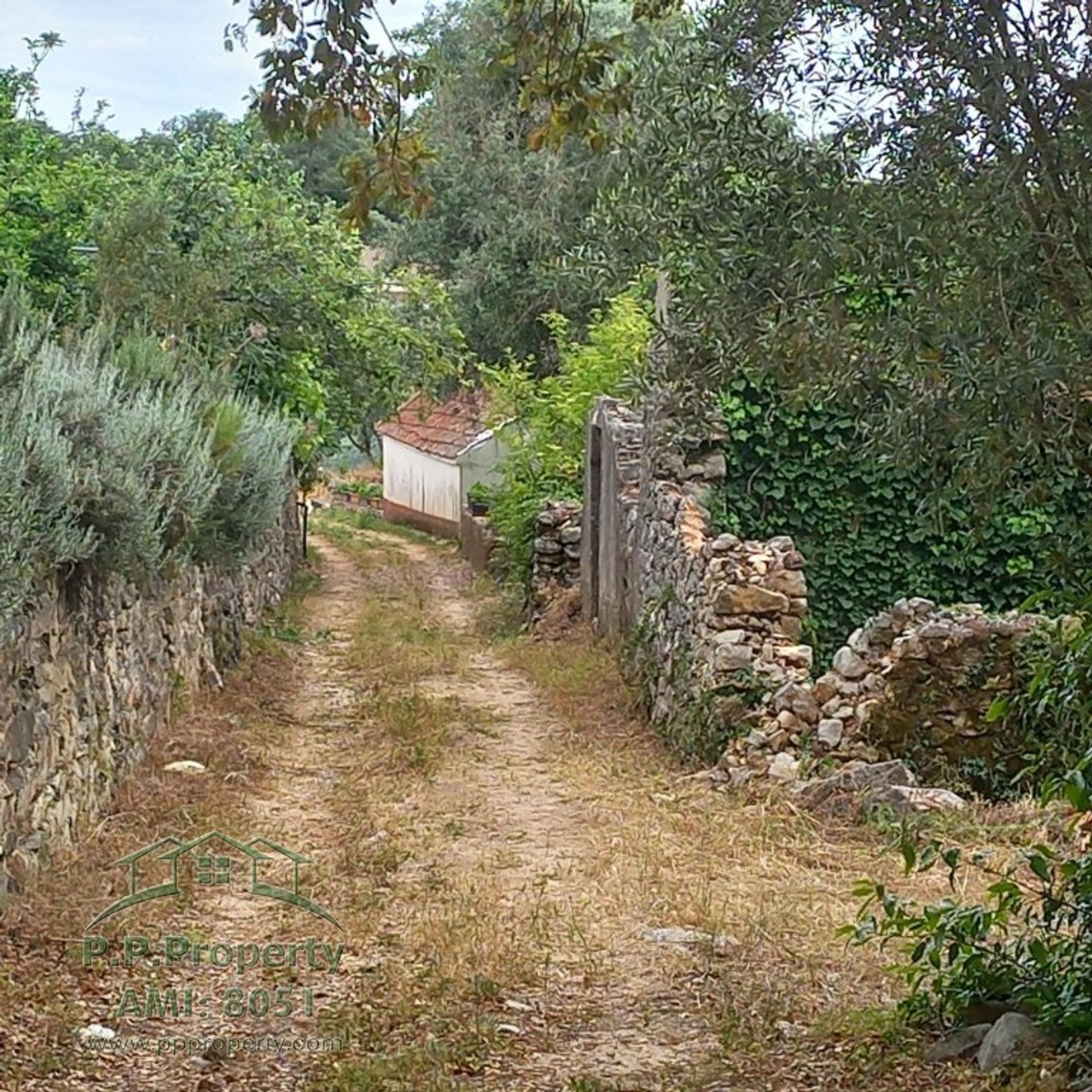 Haus im Alvaiazere, Leiria 10827672