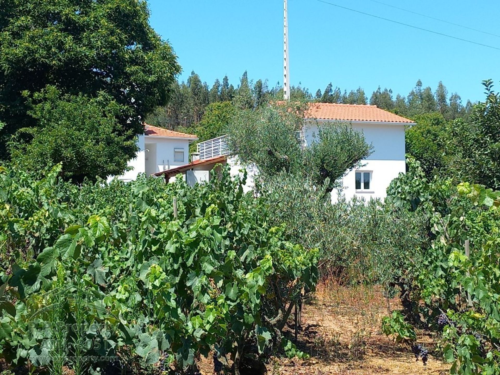 Hus i Ferreira do Zêzere, Santarém District 10827749