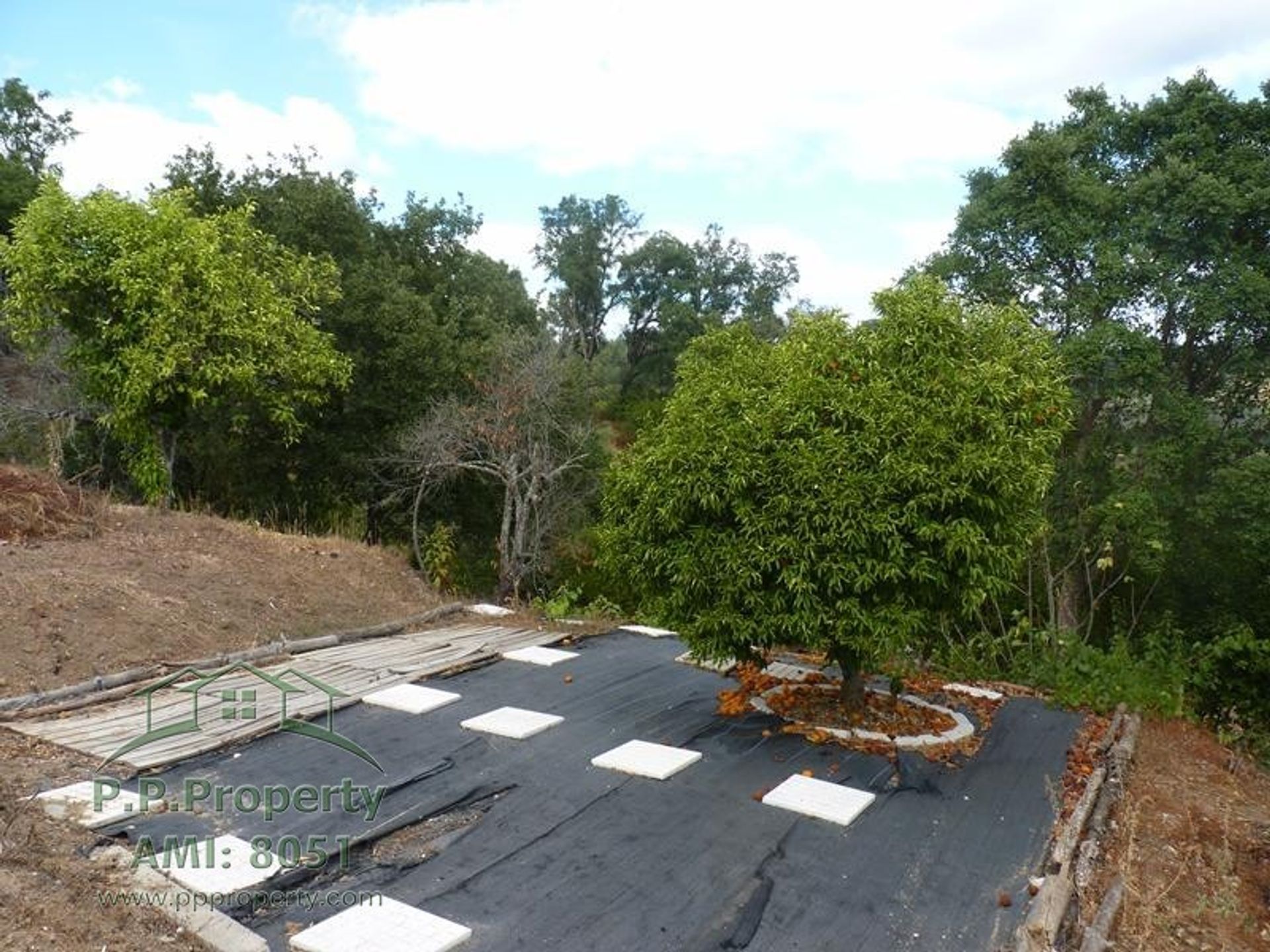 rumah dalam Figueiró Dos Vinhos, Leiria District 10827754