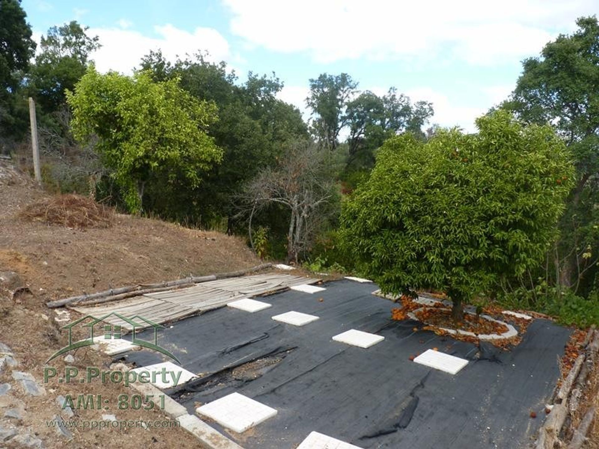 rumah dalam Figueiró Dos Vinhos, Leiria District 10827754