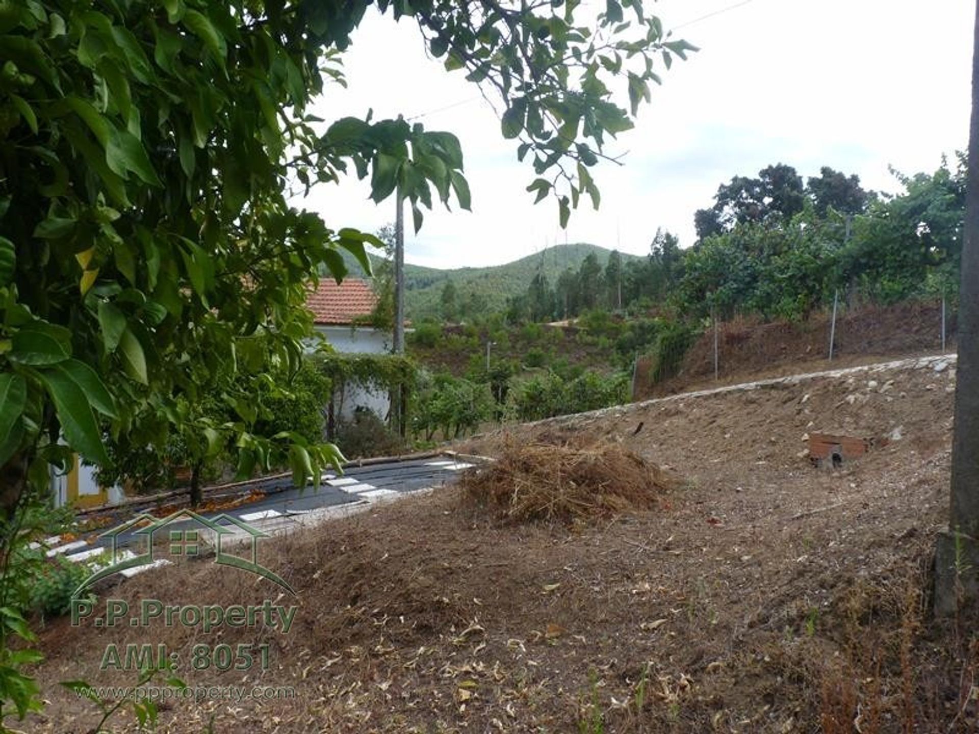 rumah dalam Figueiró Dos Vinhos, Leiria District 10827754