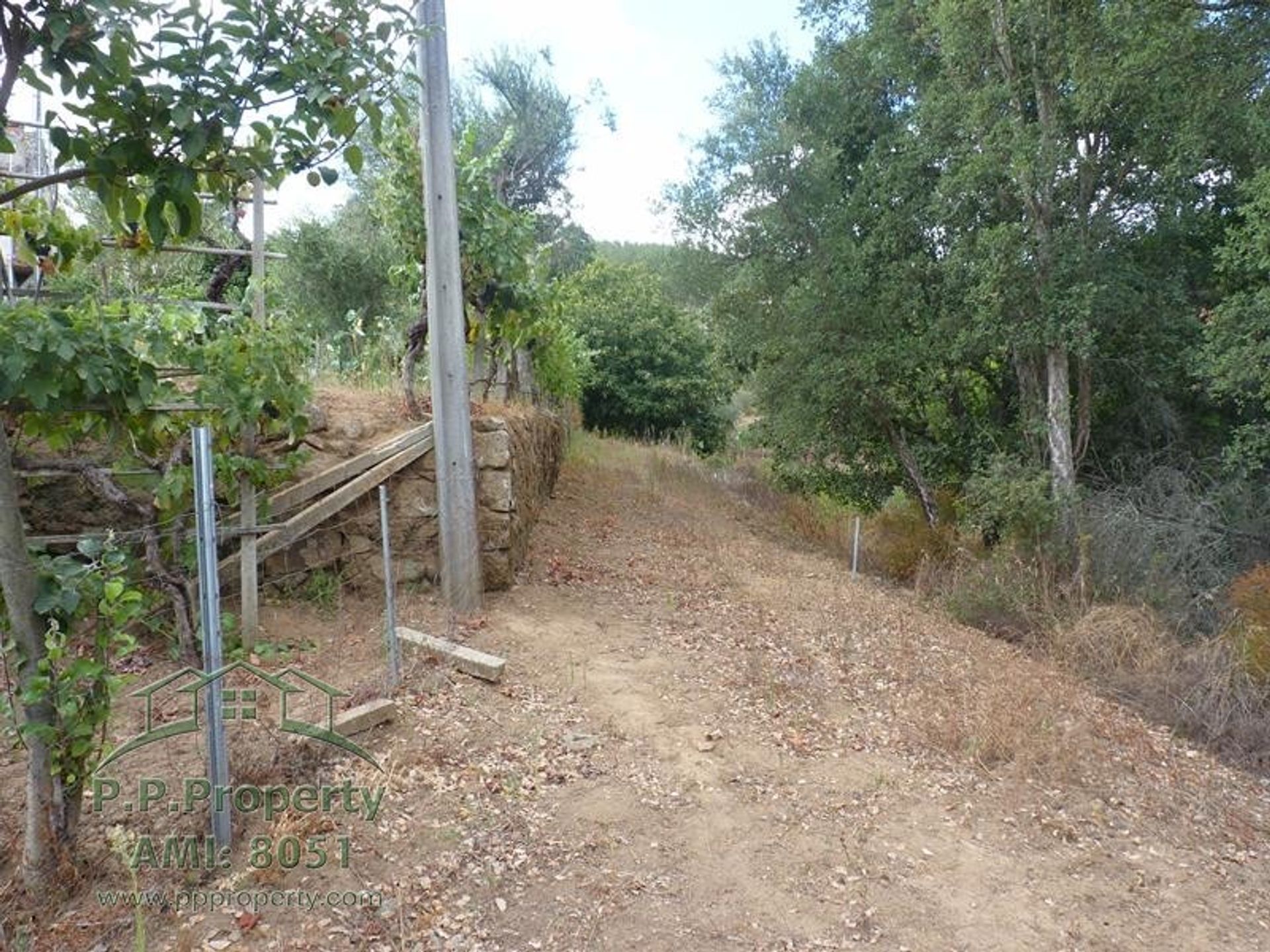 rumah dalam Figueiró Dos Vinhos, Leiria District 10827754