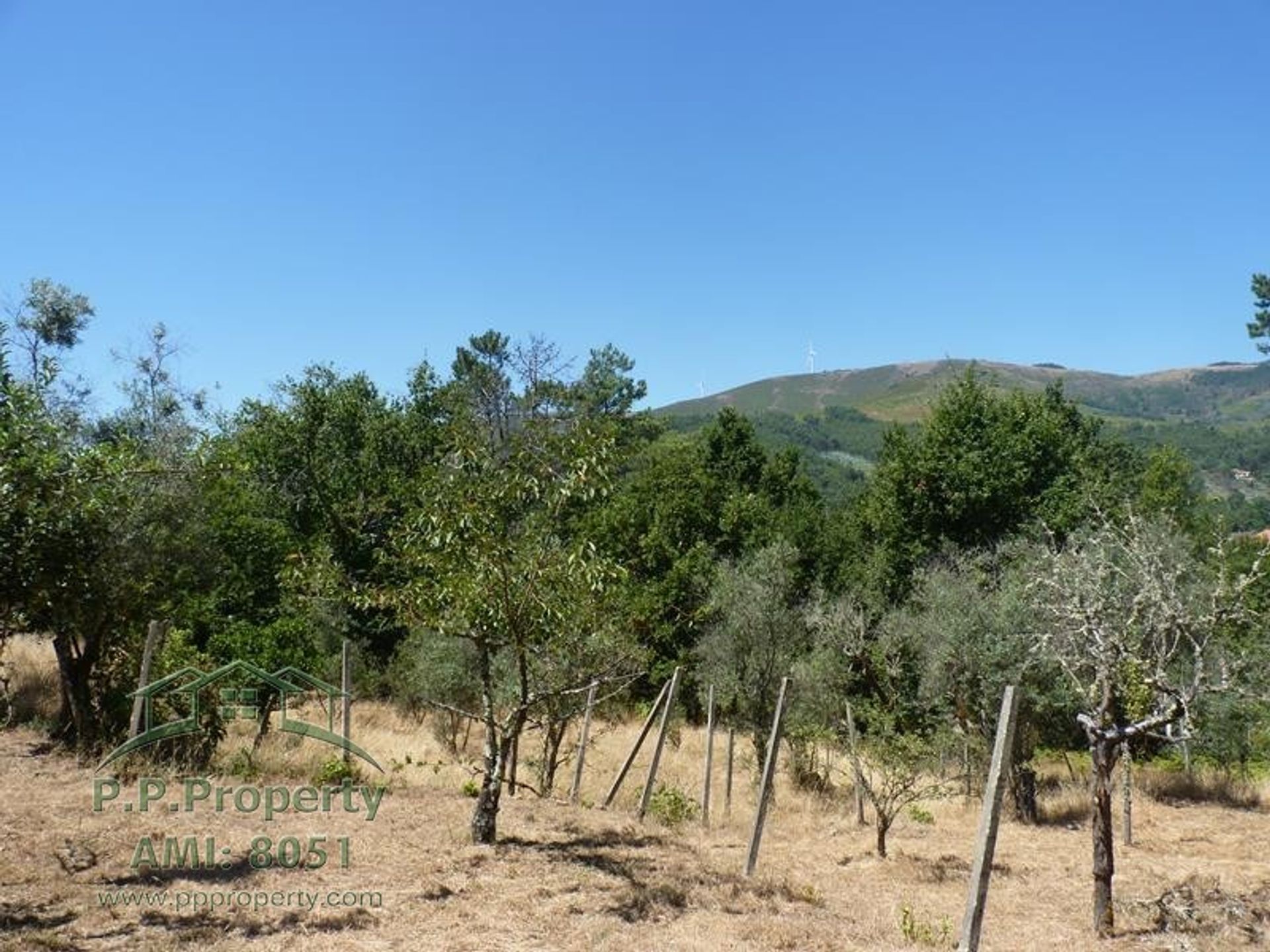 σπίτι σε Castanheira de Pêra, Leiria District 10827813