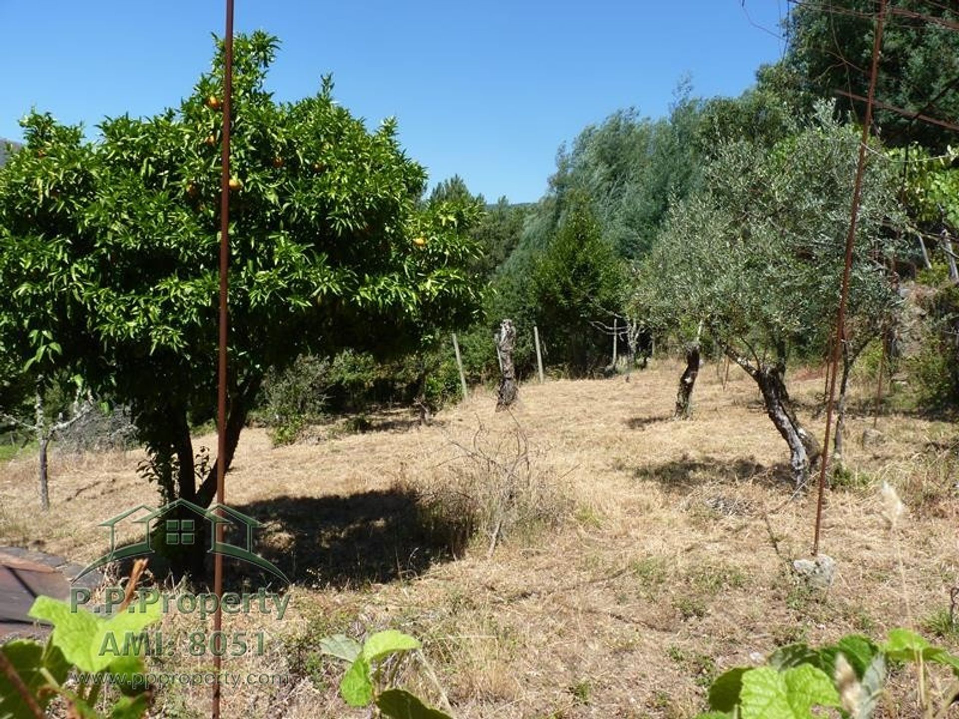 σπίτι σε Castanheira de Pêra, Leiria District 10827813