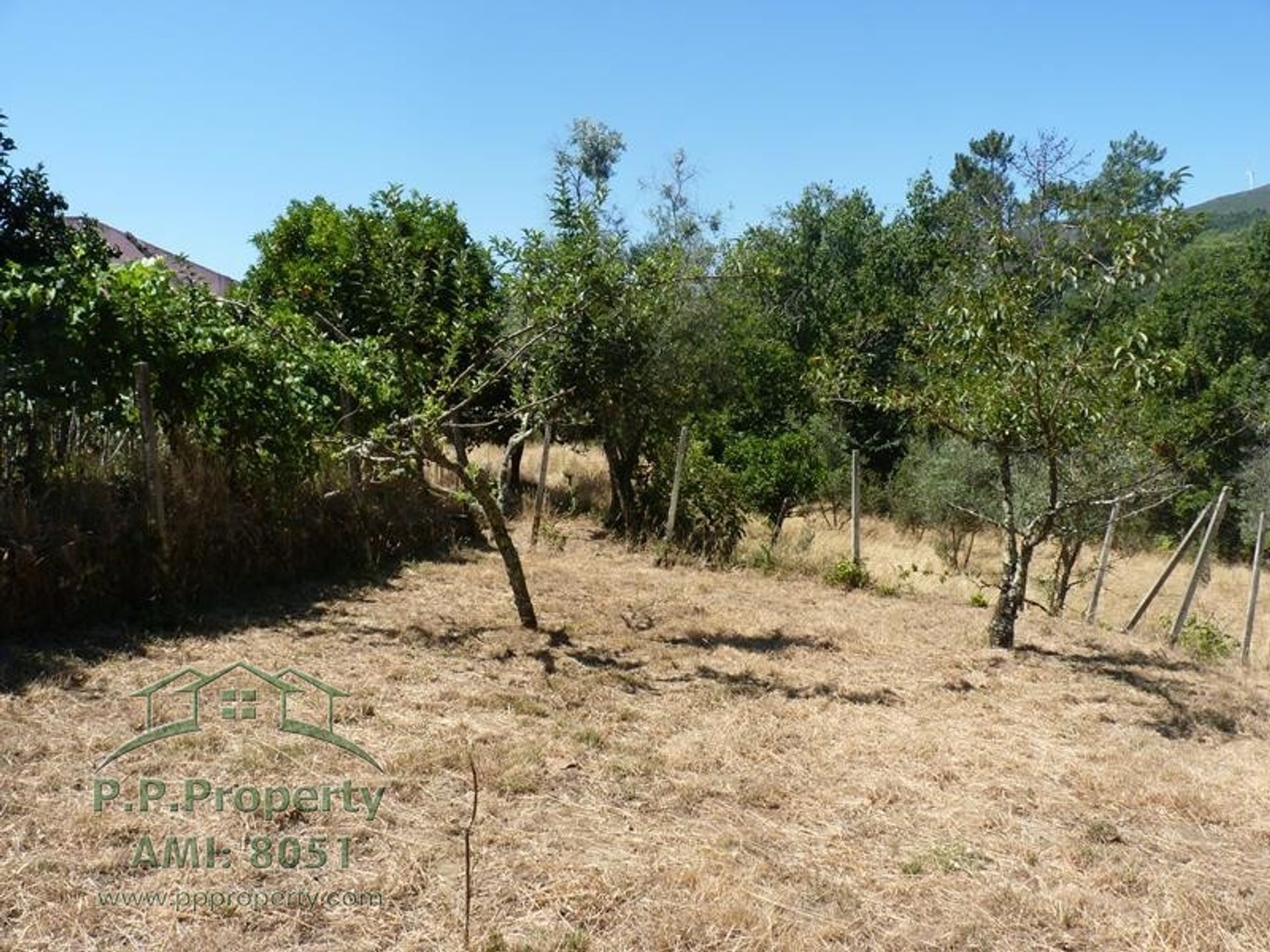 σπίτι σε Castanheira de Pêra, Leiria District 10827813