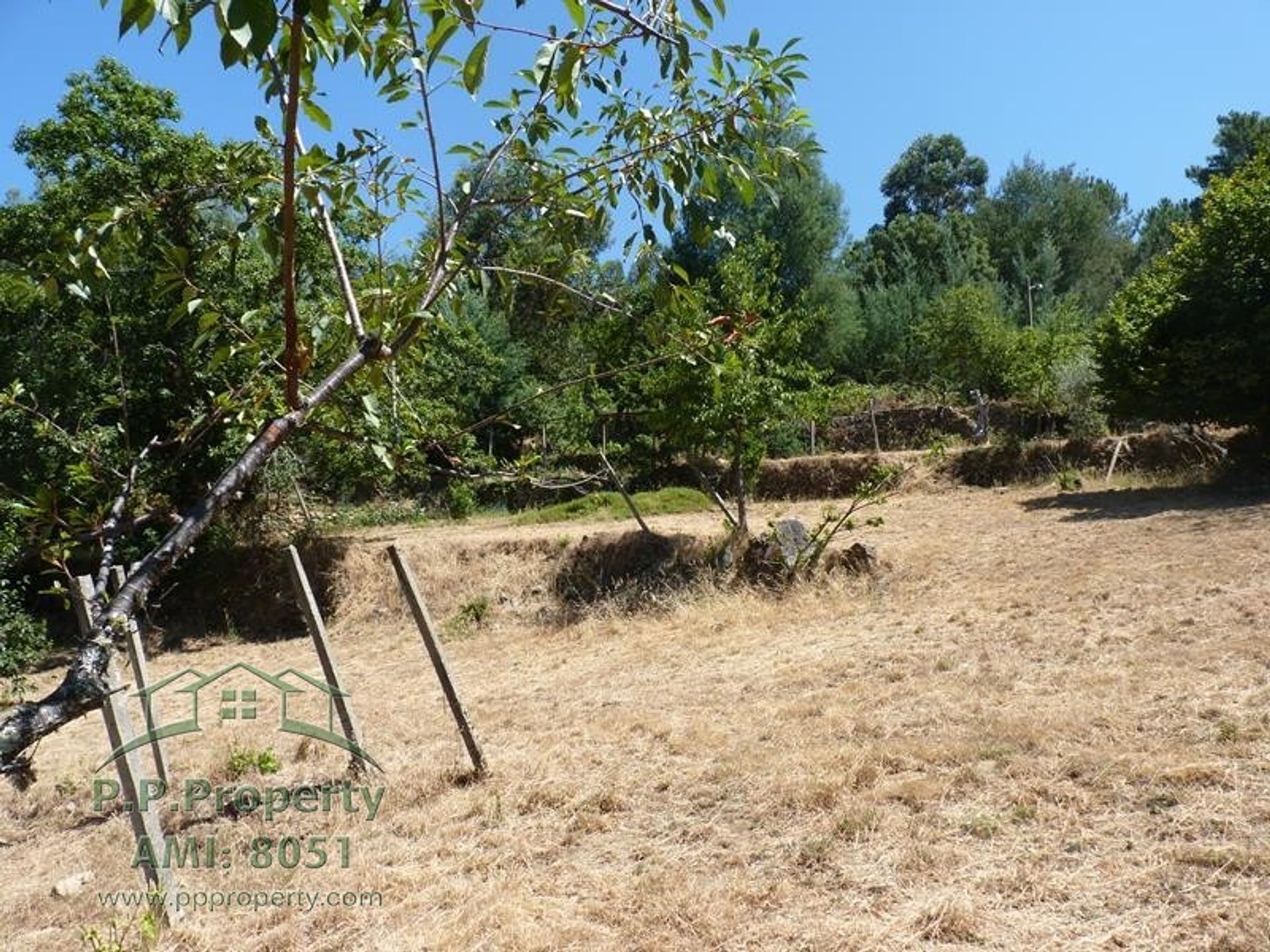 σπίτι σε Castanheira de Pêra, Leiria District 10827813