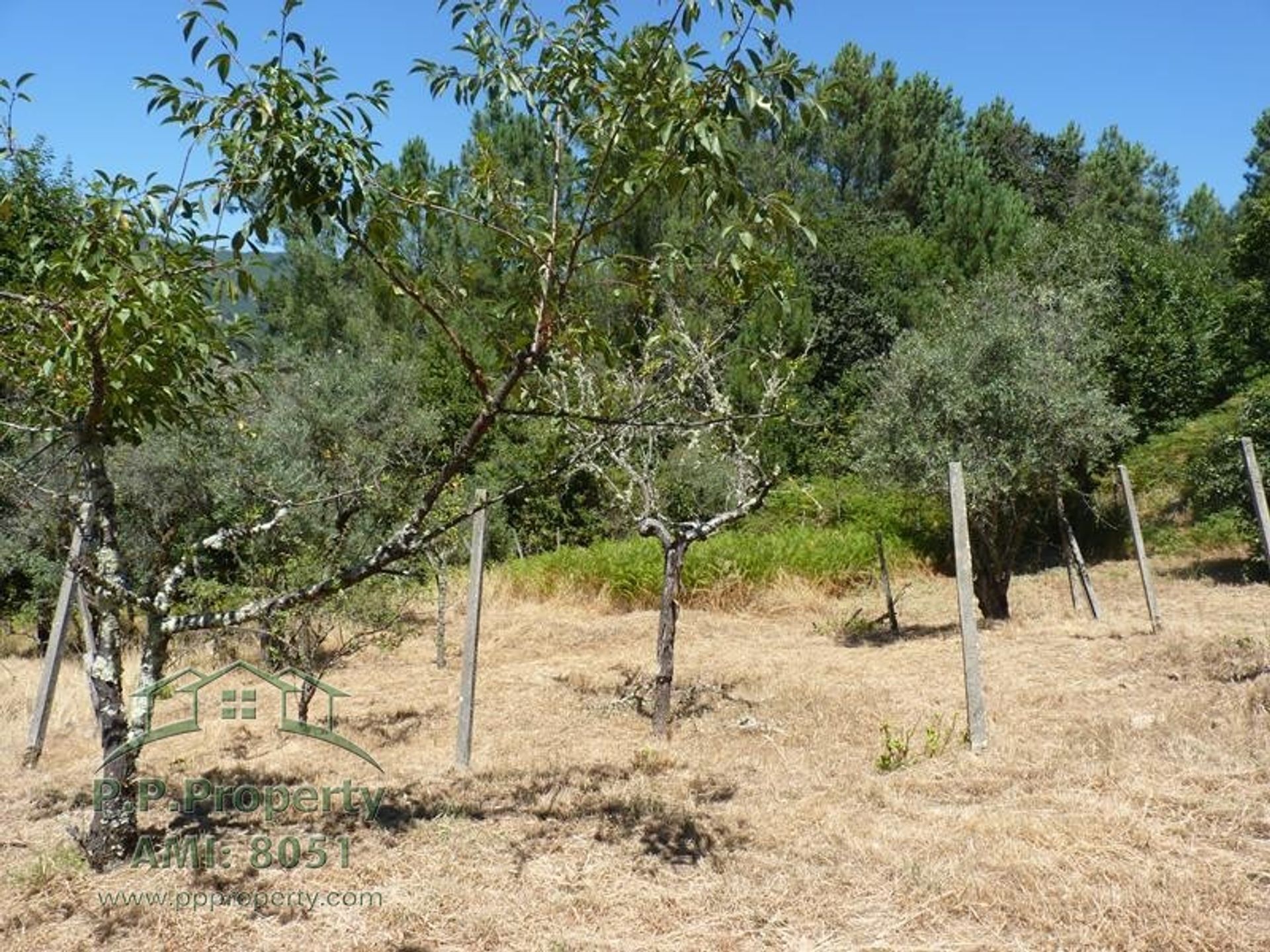 σπίτι σε Castanheira de Pêra, Leiria District 10827813