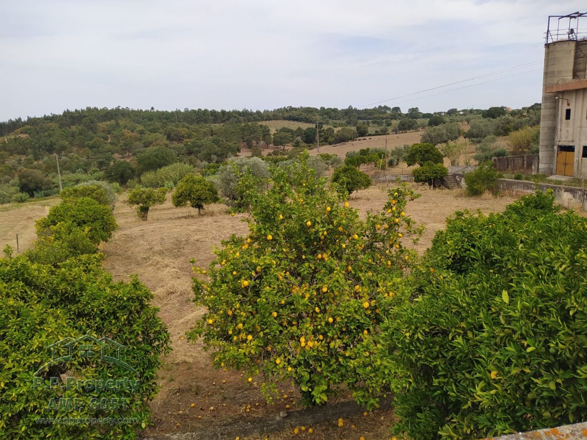 Hus i Palhava, Santarem 10827832