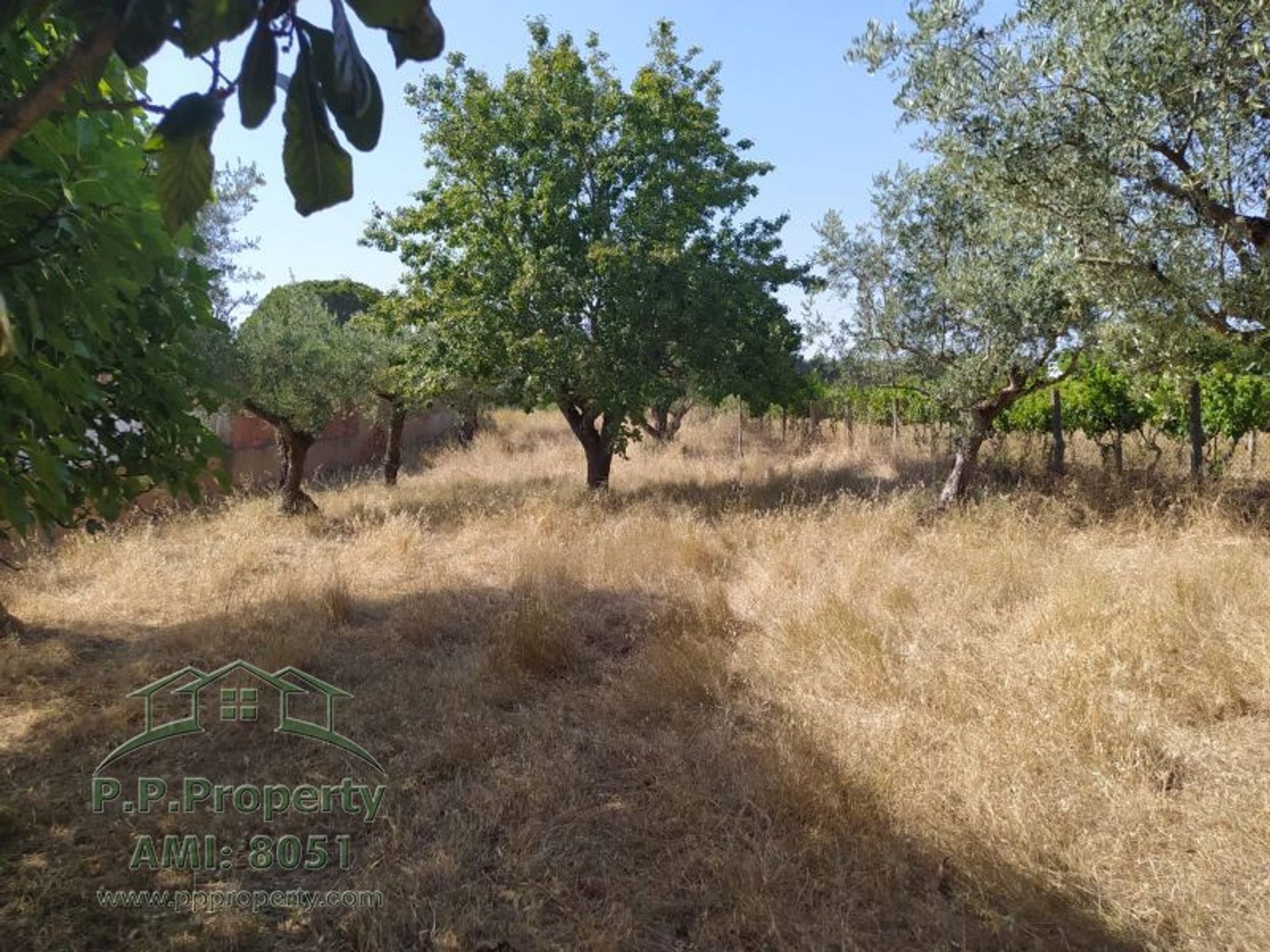 σπίτι σε Tomar, Santarém District 10827845