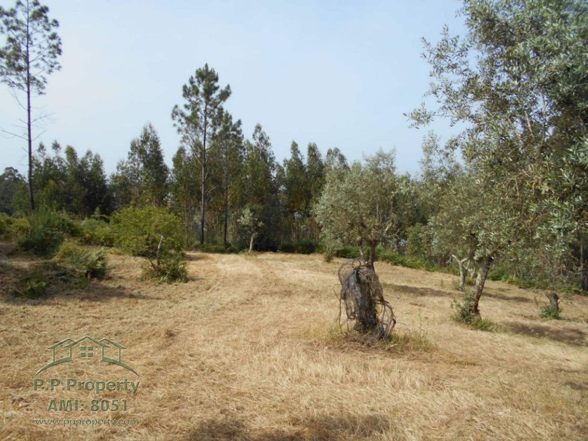 casa no Alvaiázere, Leiria 10827847