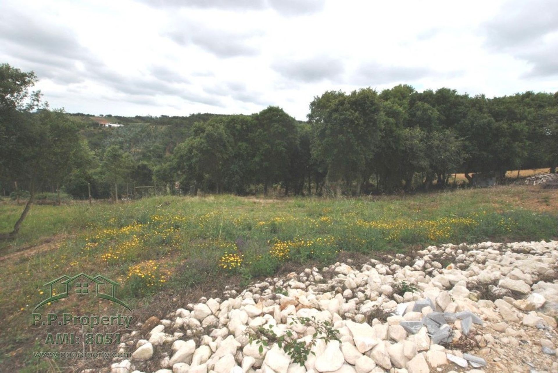 σπίτι σε Óbidos, Leiria District 10827872